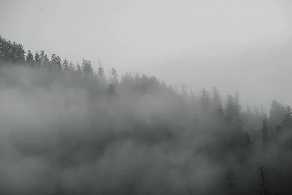 Washington, 2012