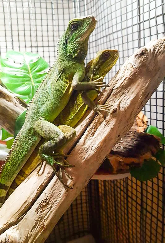 Two of Melissa's roommates