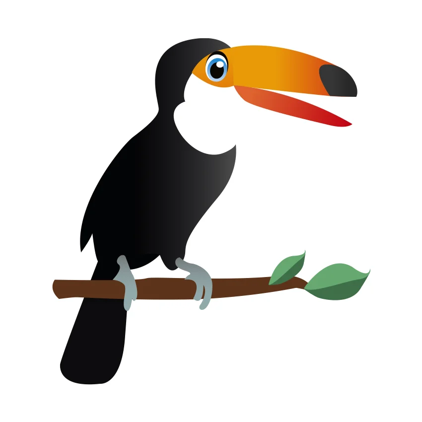 Toco toucan