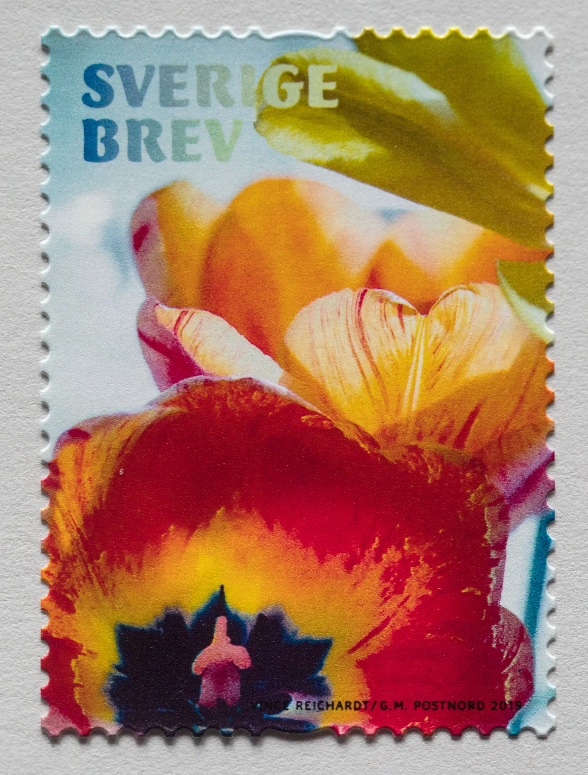 101A6374.jpg