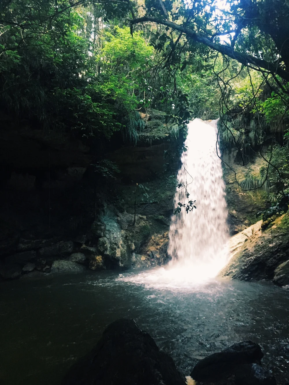 Puerto Rico Blog (4).jpeg