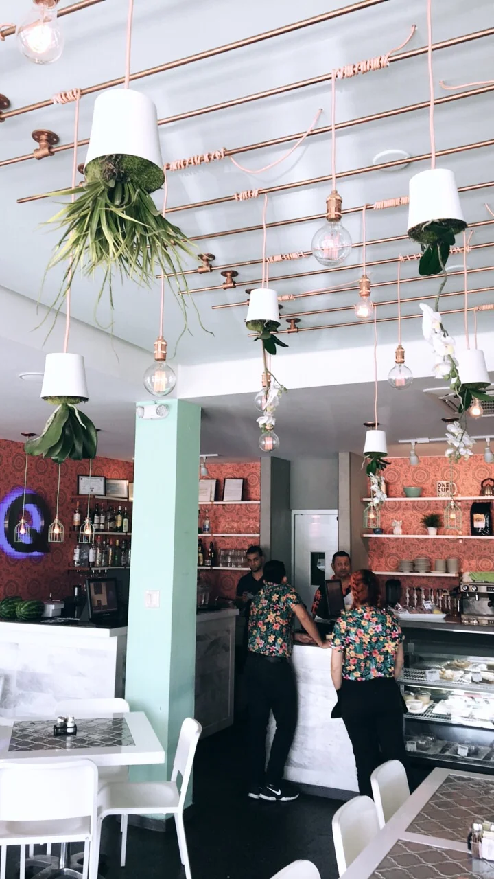 Puerto Rico Blog (9).jpeg