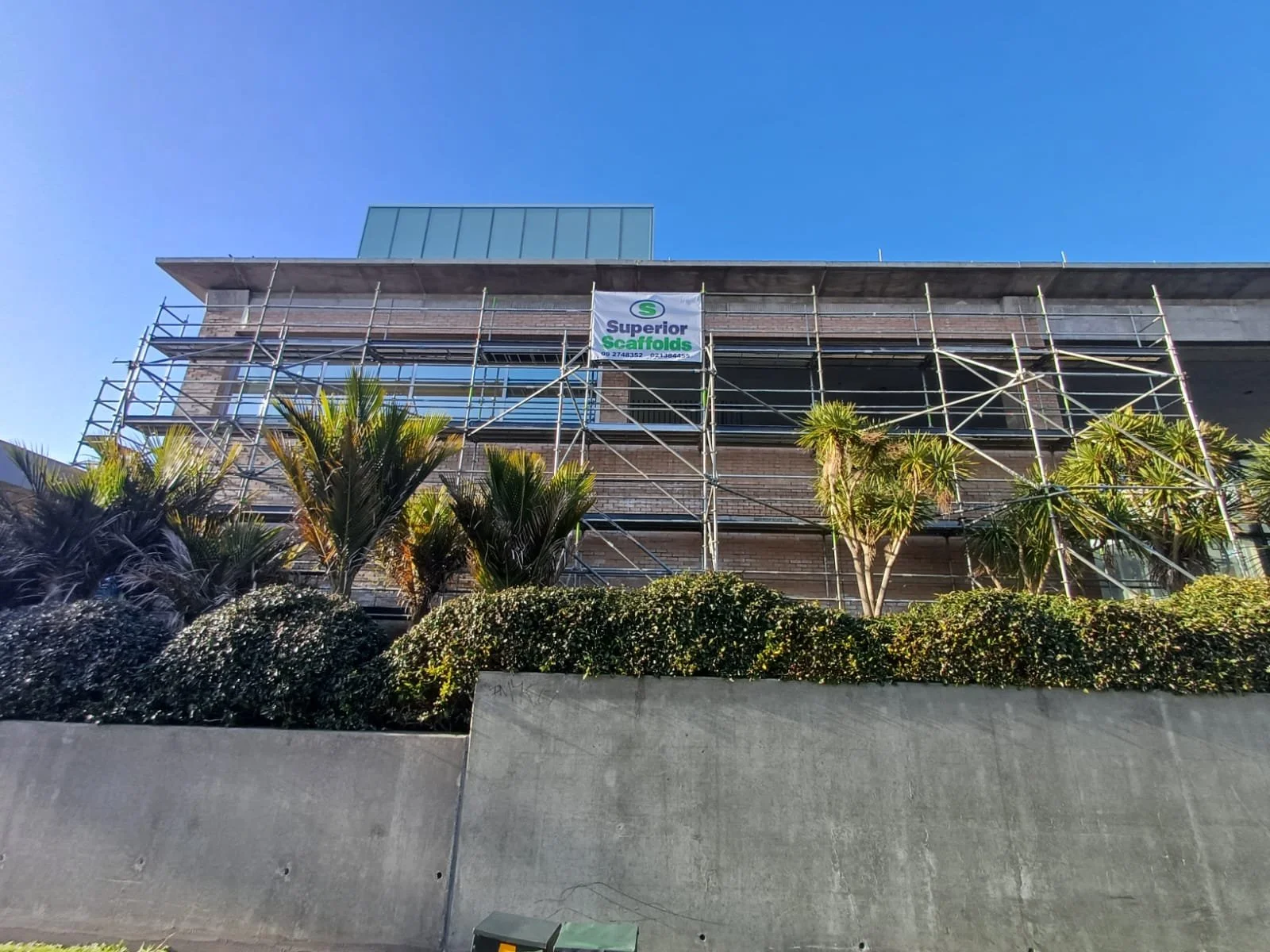 WhatsApp Image 2025-09-05 at 6.56.41 AM.jpeg