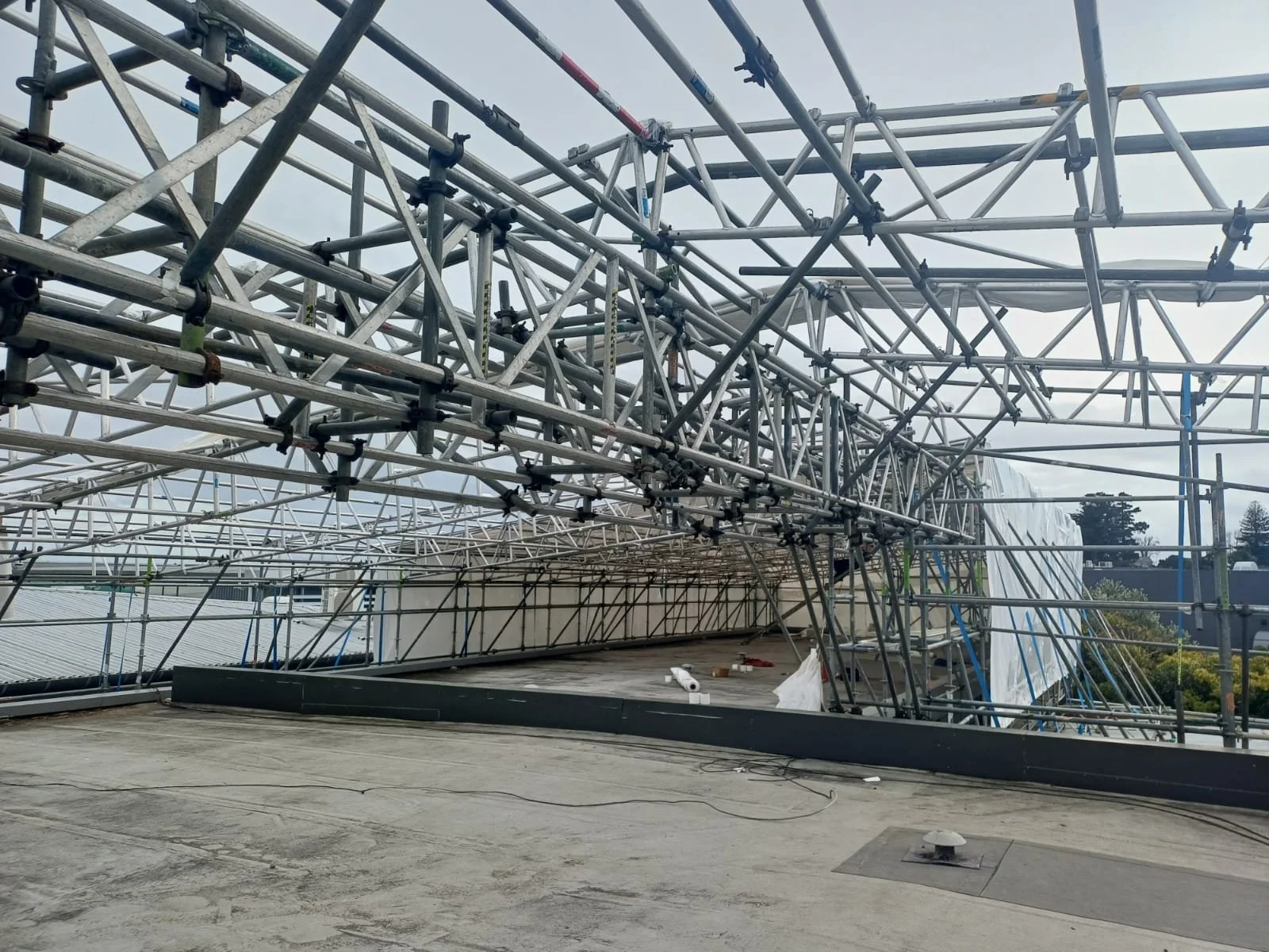 WhatsApp Image 2025-08-11 at 10.09.55 AM (3).jpeg