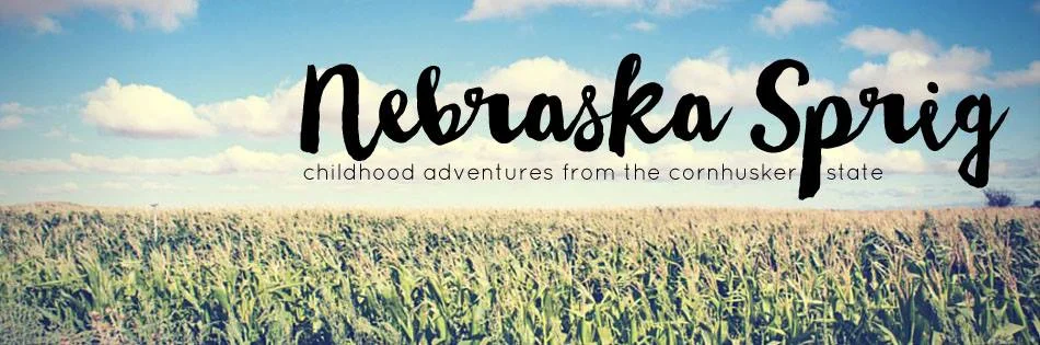 Nebraska Sprig (Blog Header) (Copy)