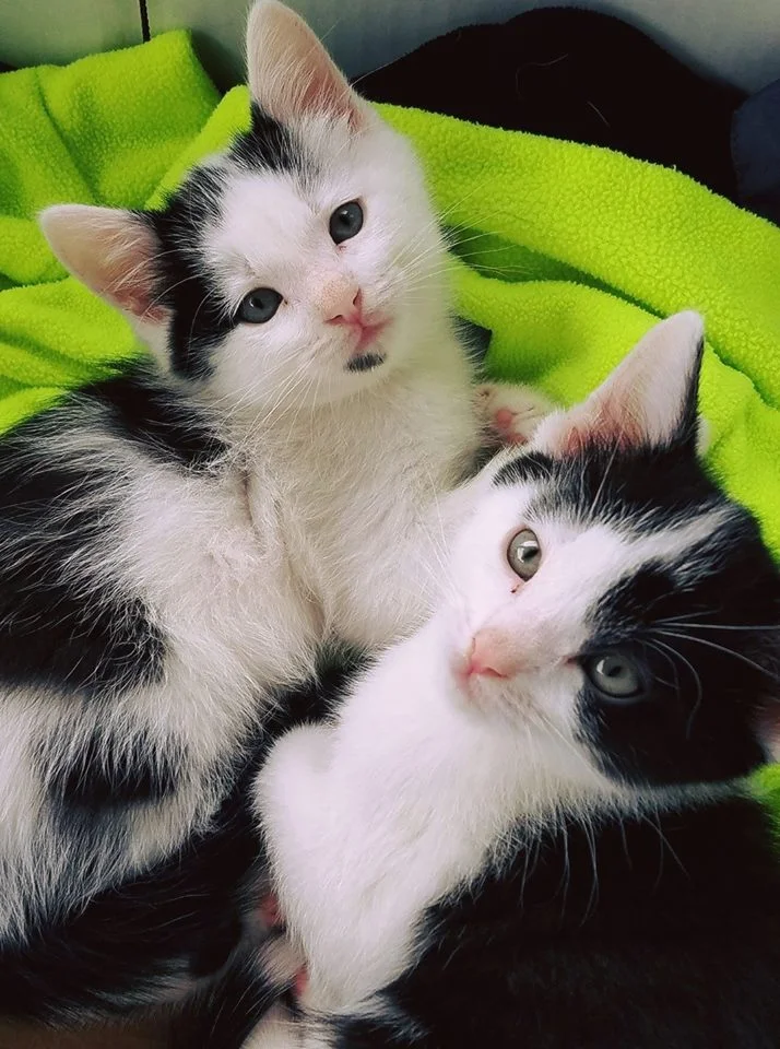 rick and mory.jpg