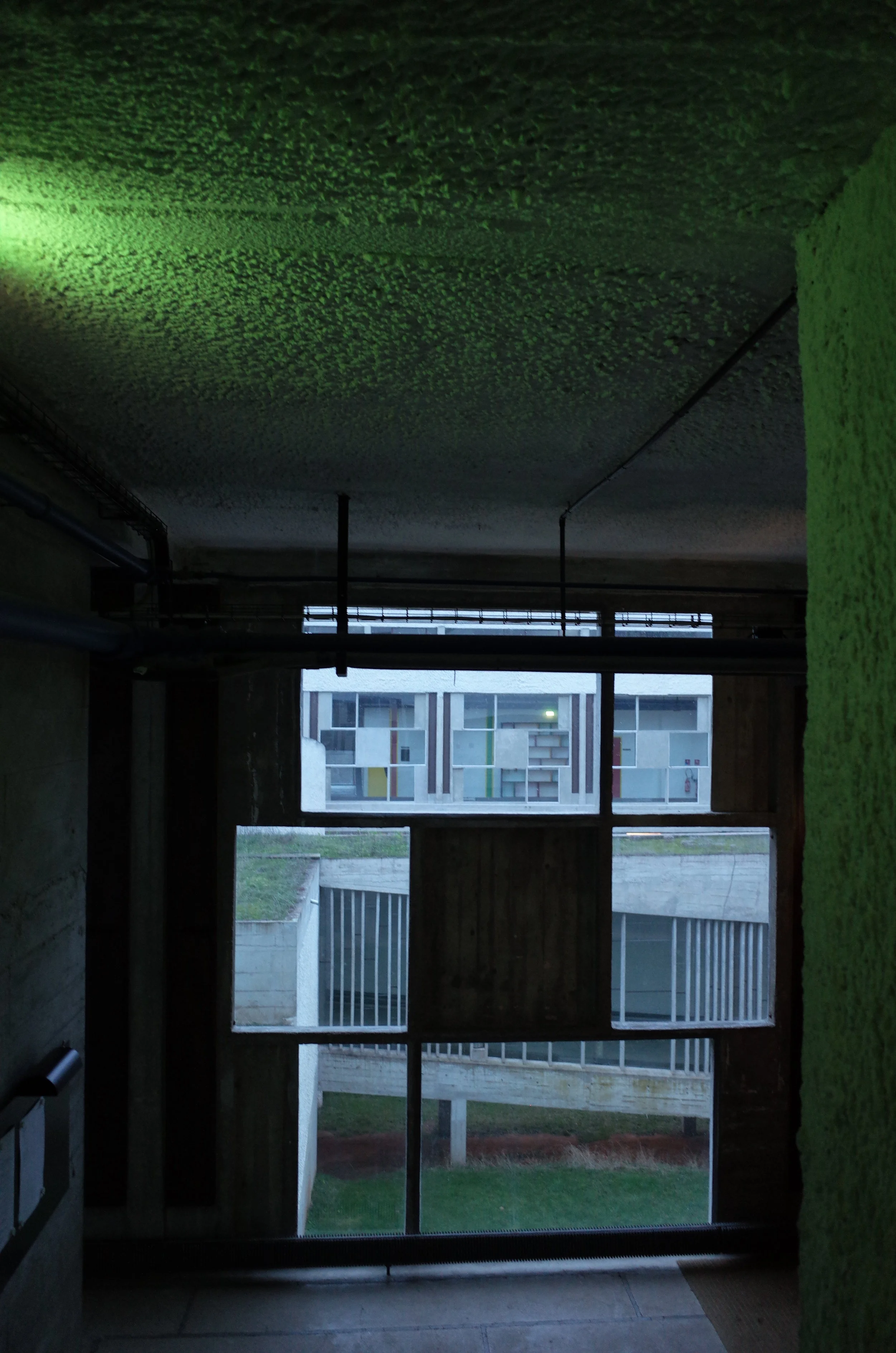 R0032704.JPG