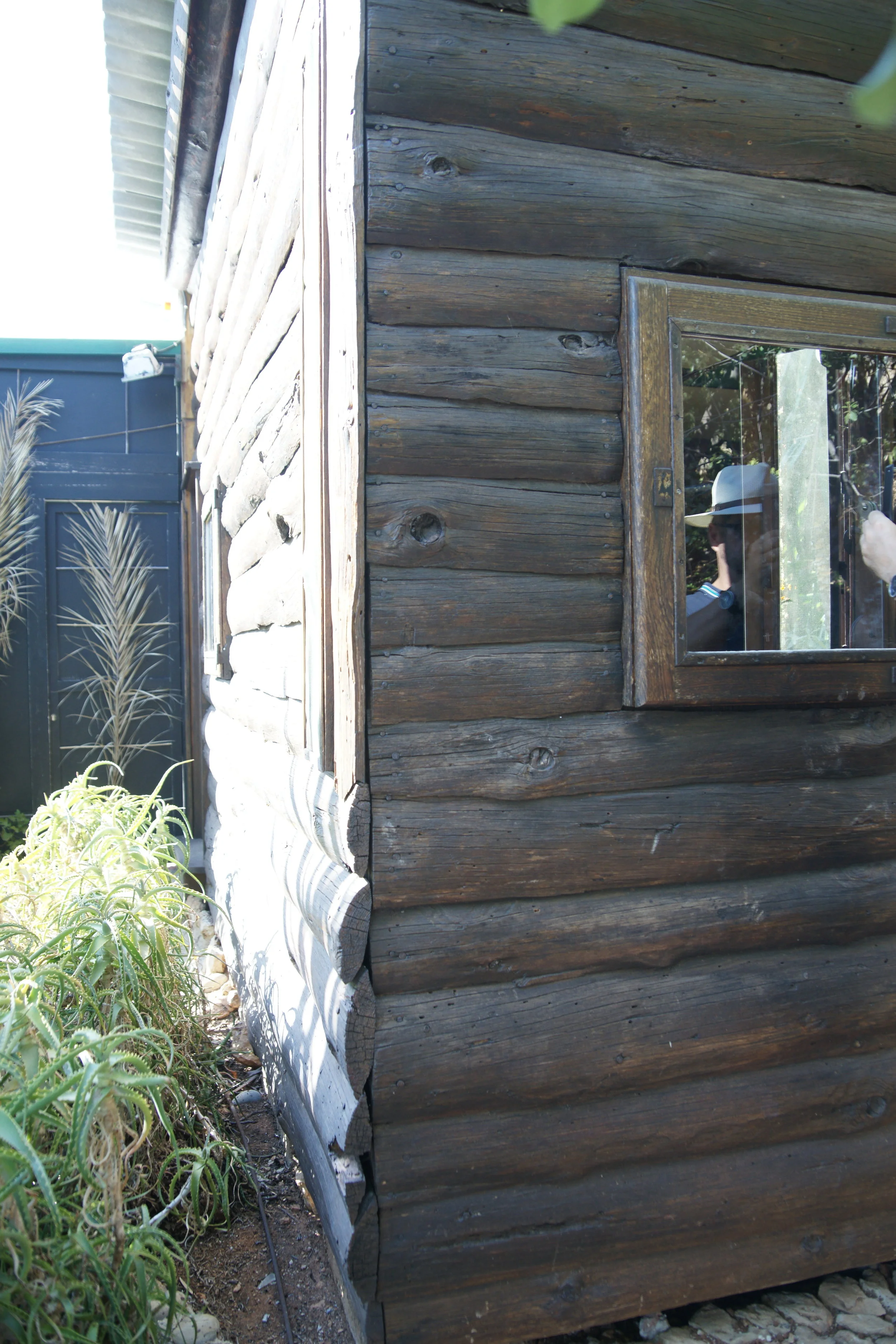 _DSC3603 - 複製.JPG