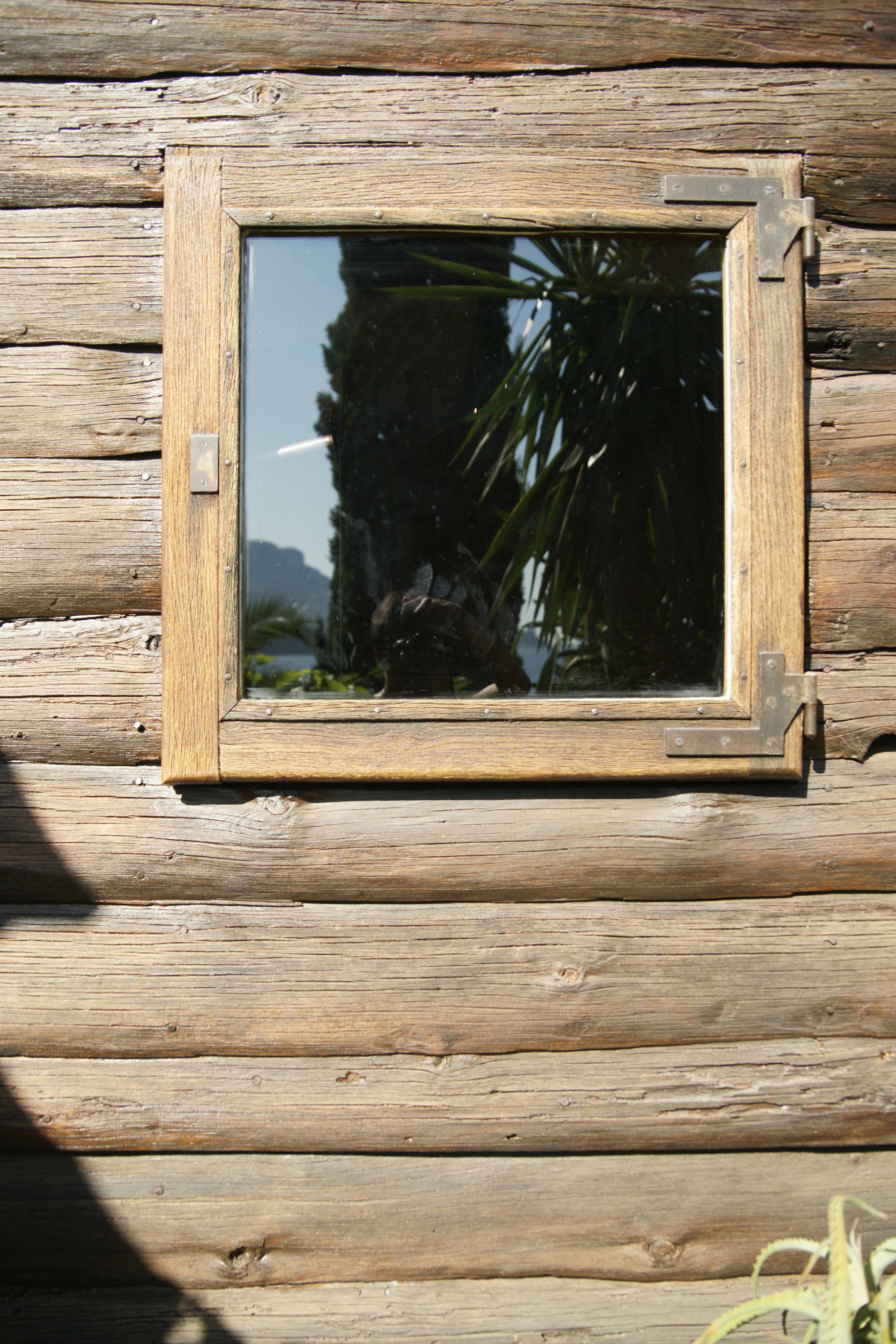 _DSC3602 - 複製.JPG