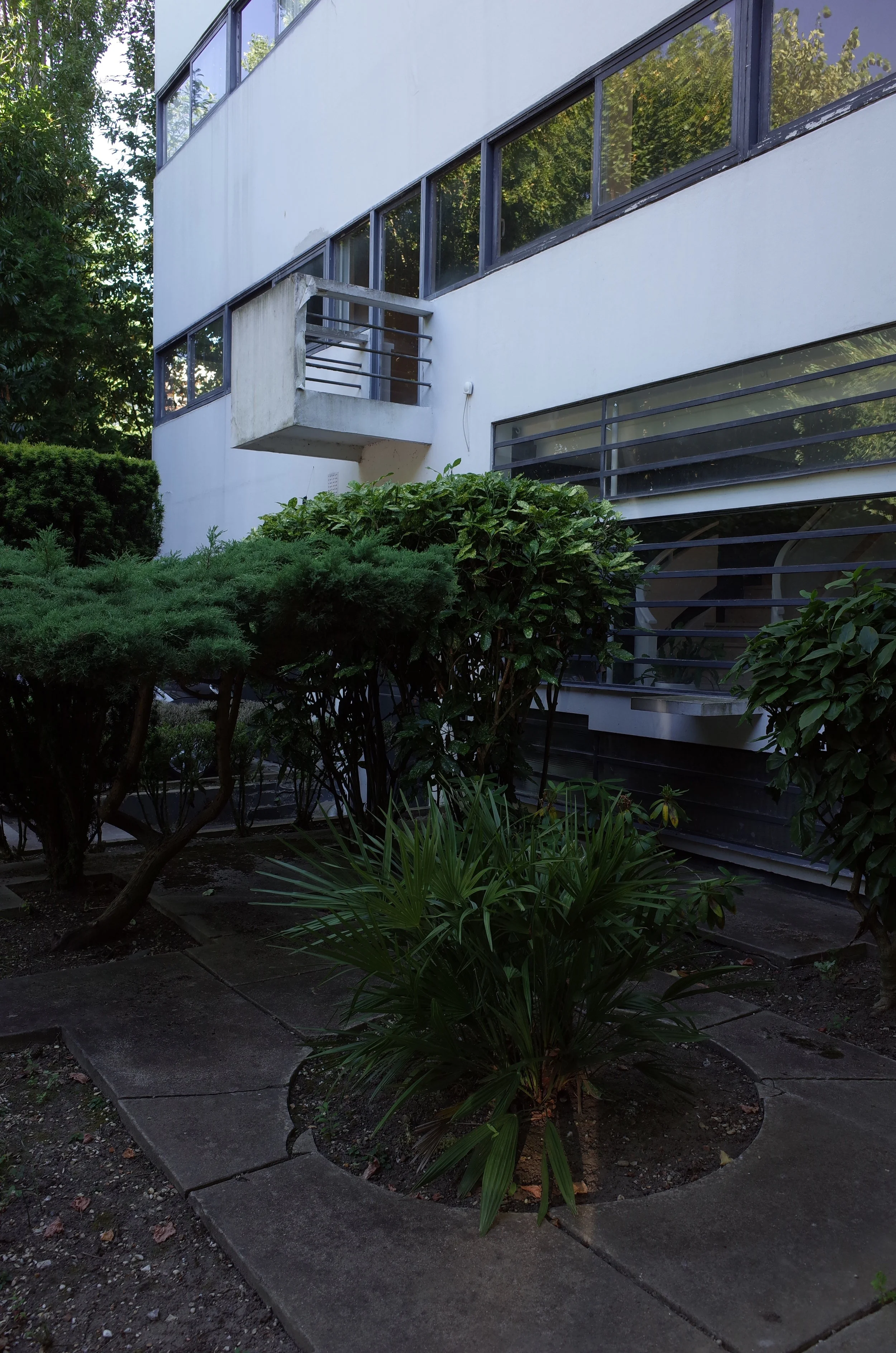 R0008978.JPG