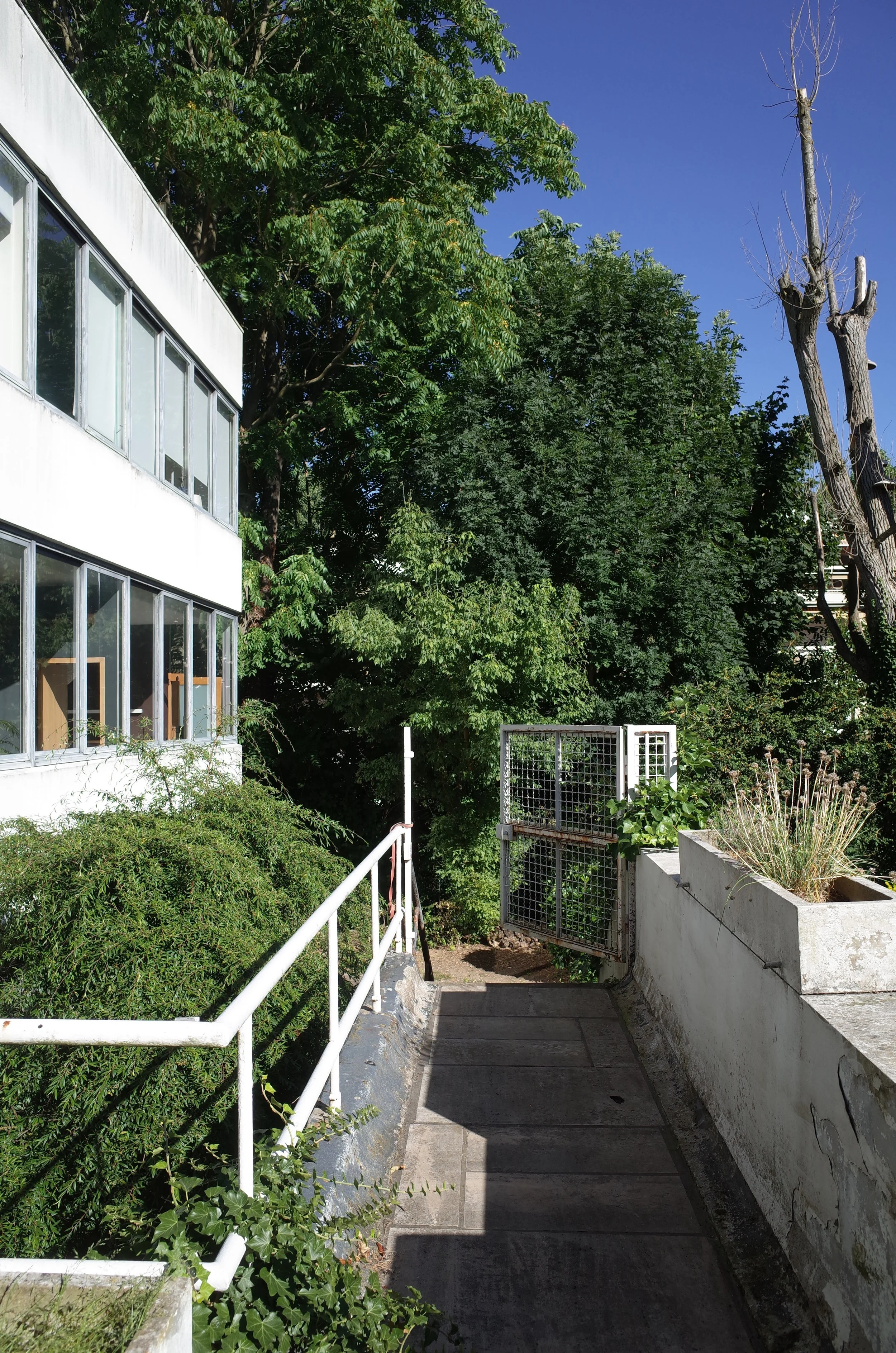 R0009065.JPG