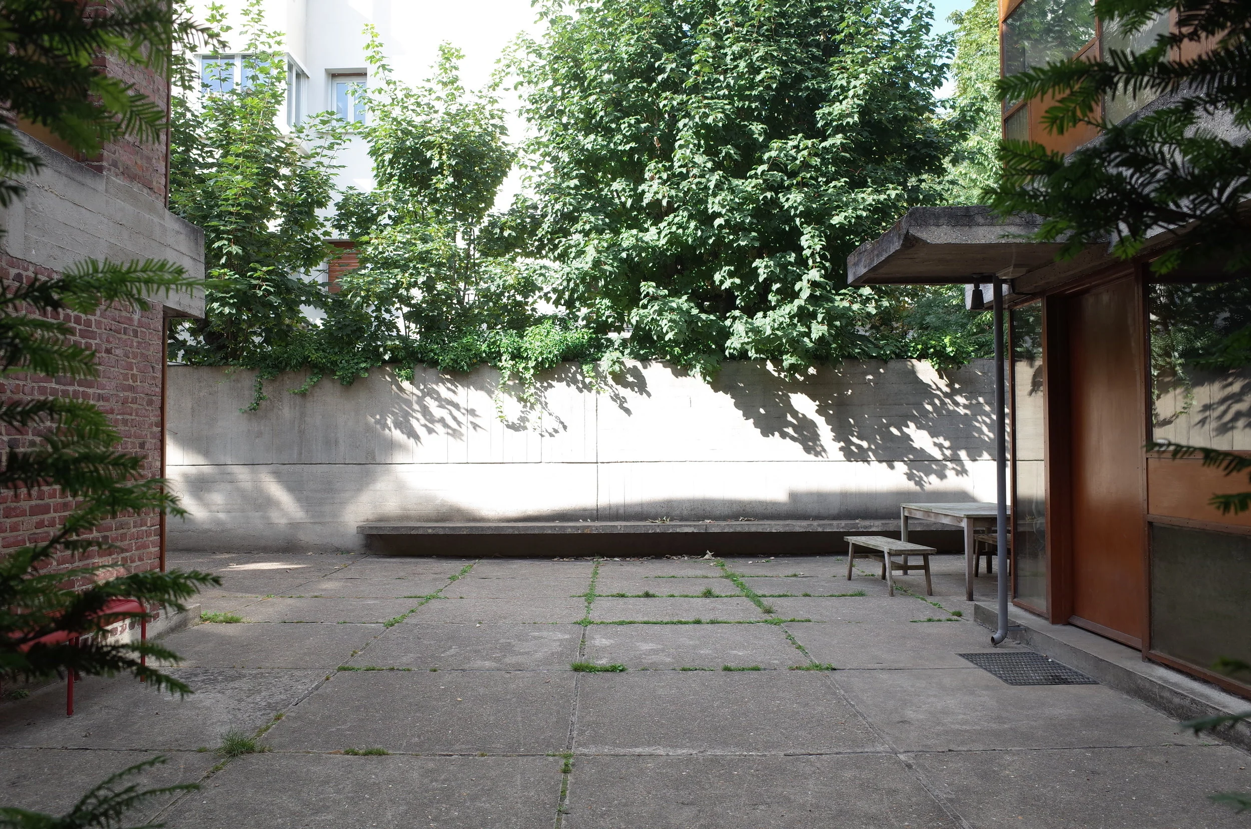 R0008797.JPG