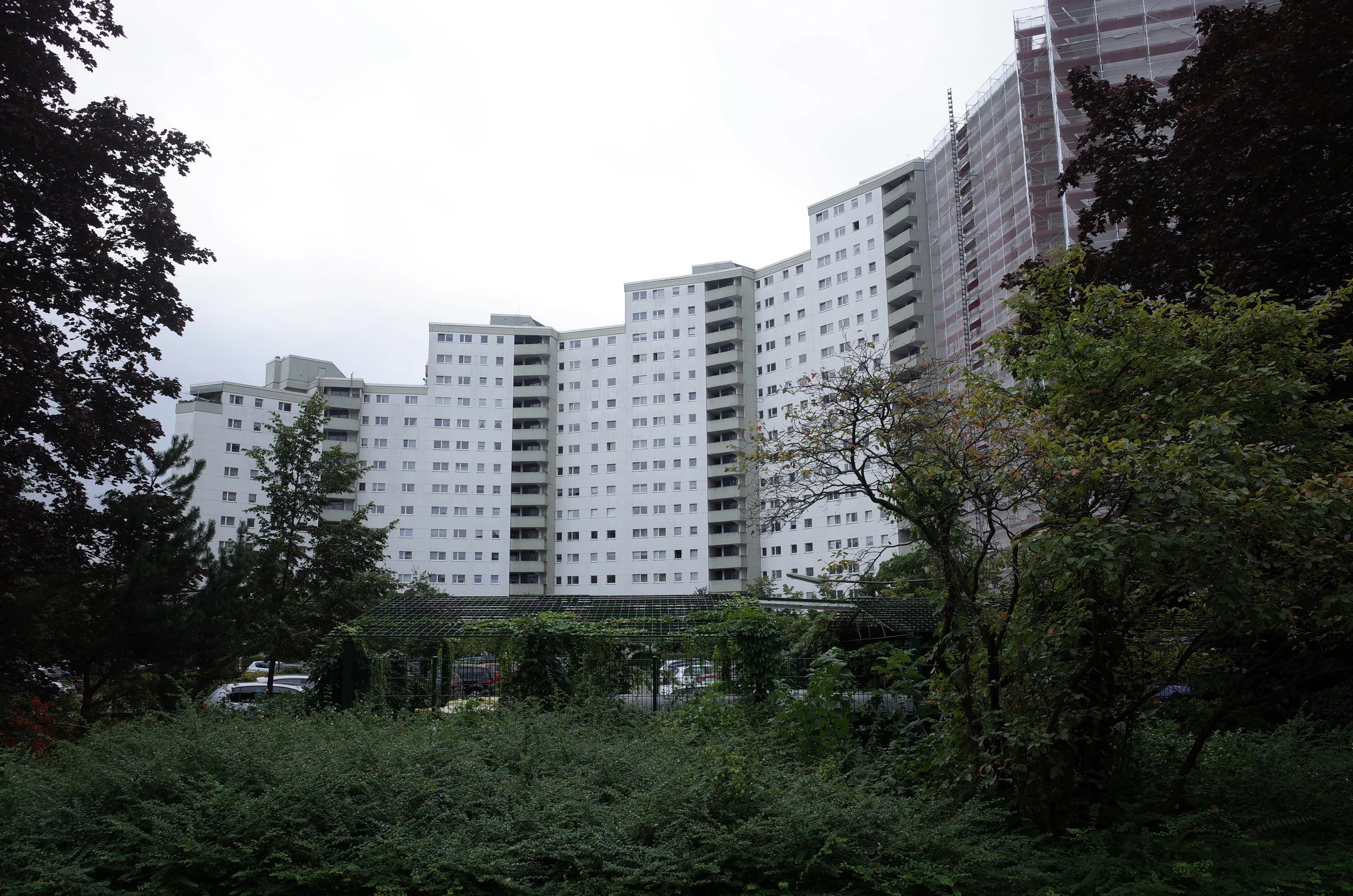 R0012056.JPG