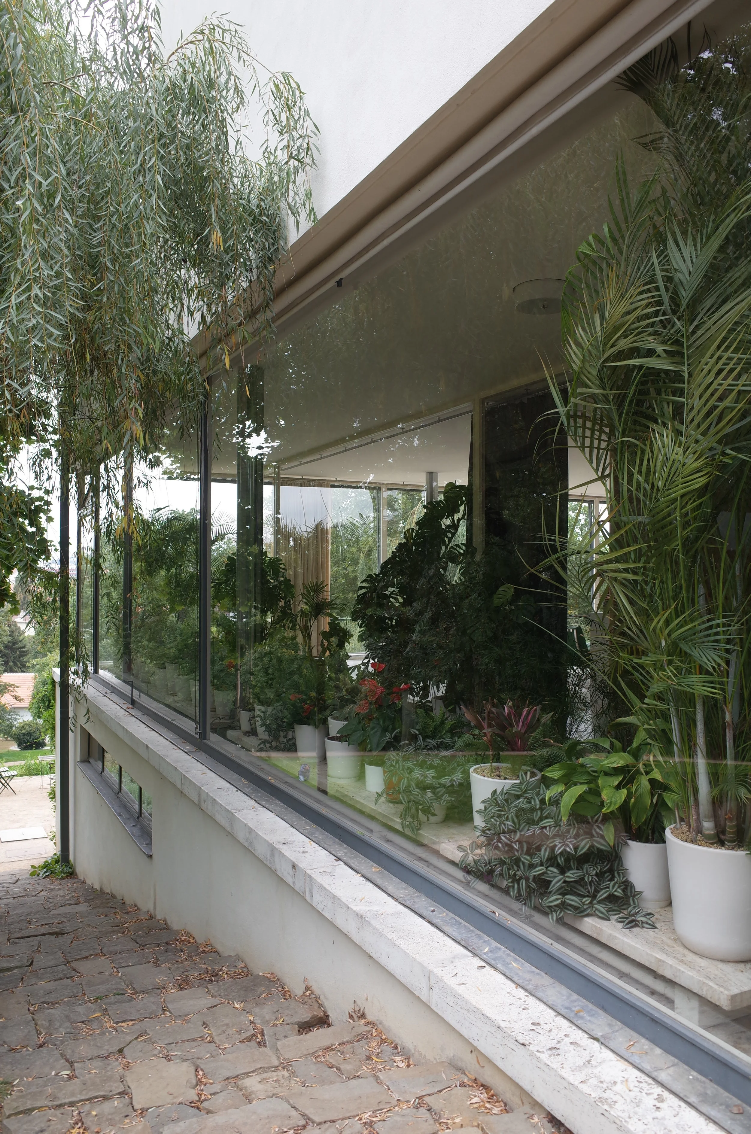 R0017791.JPG