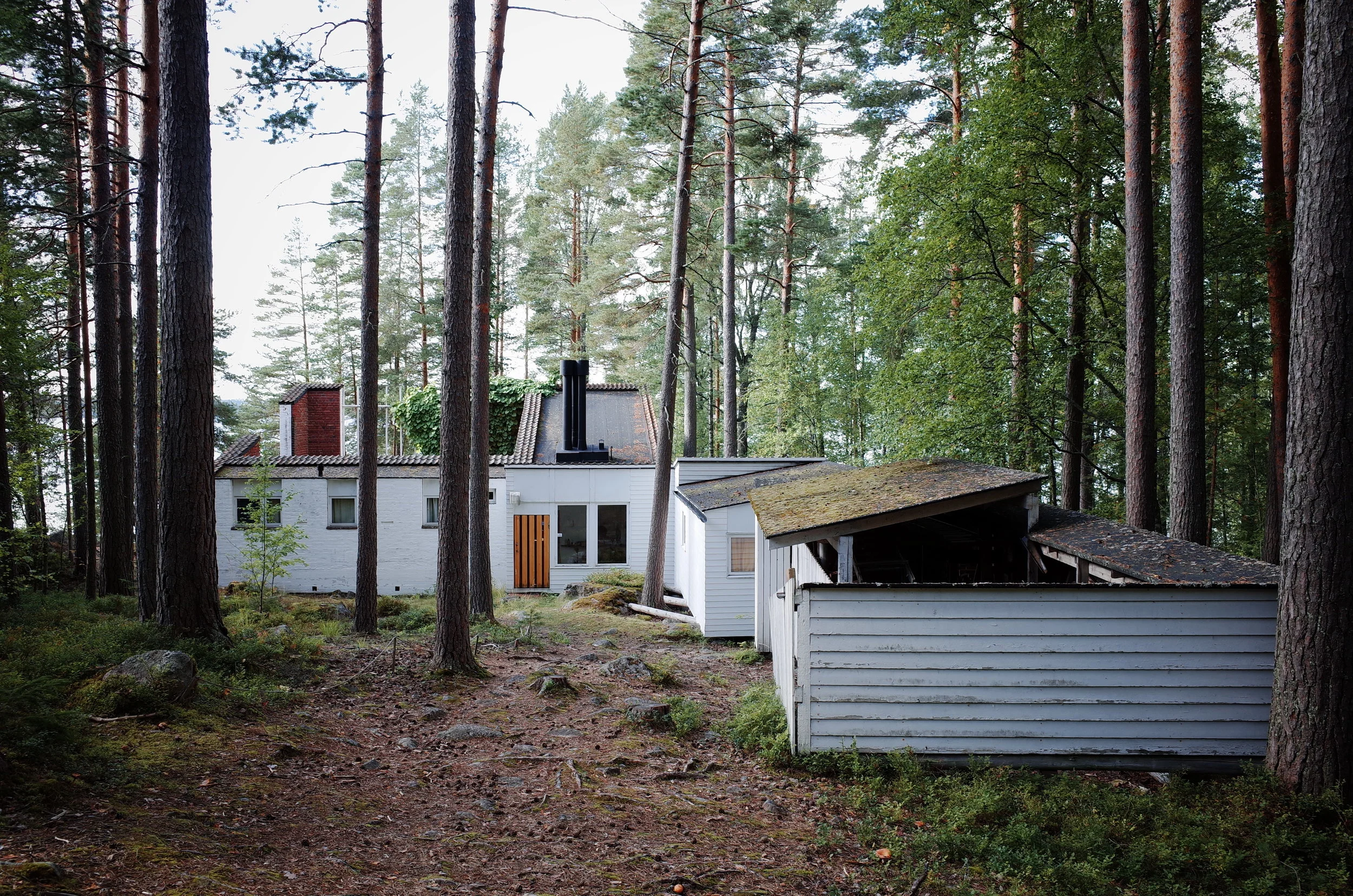 R0011469.JPG