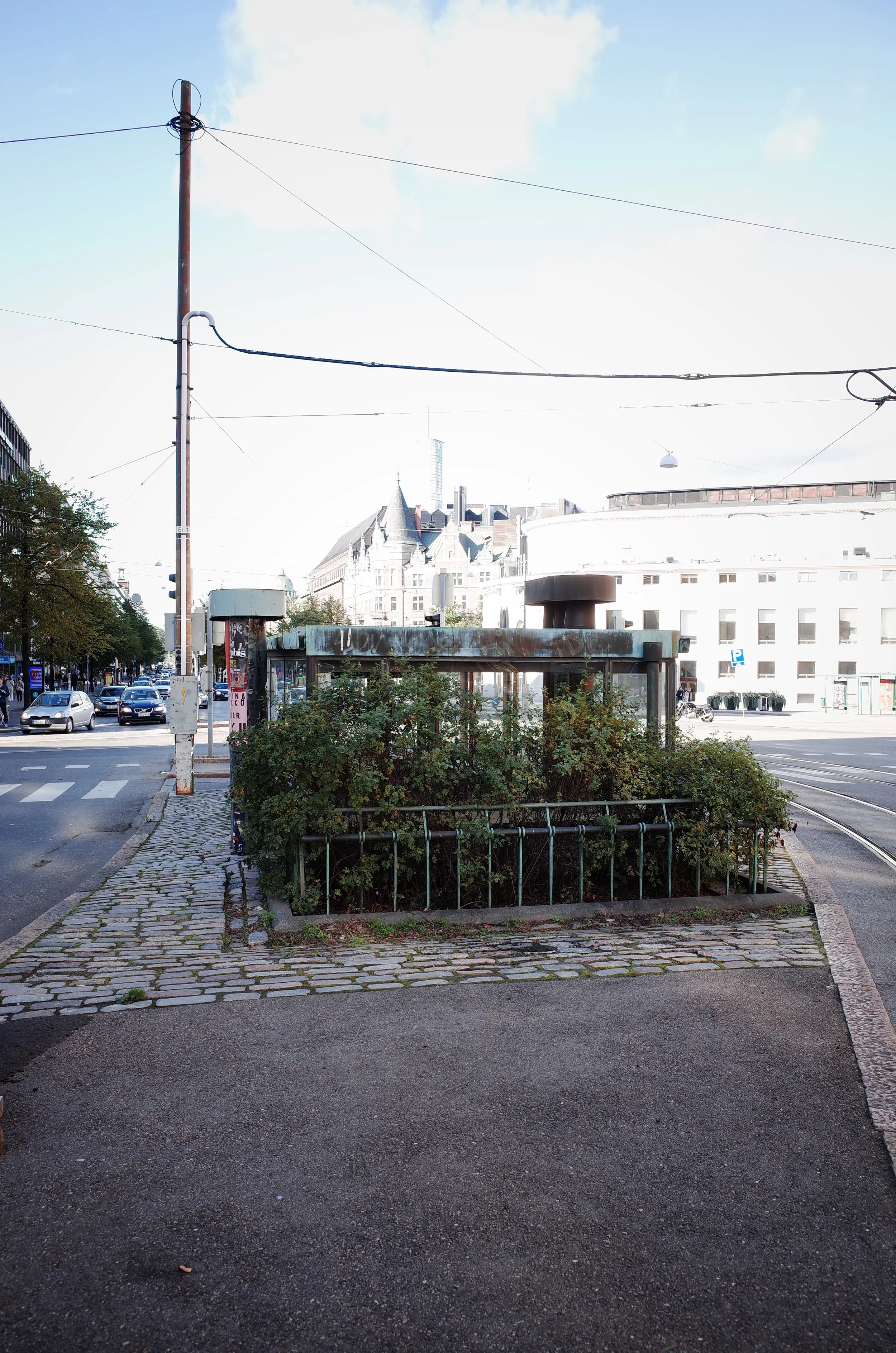 R0011800.JPG