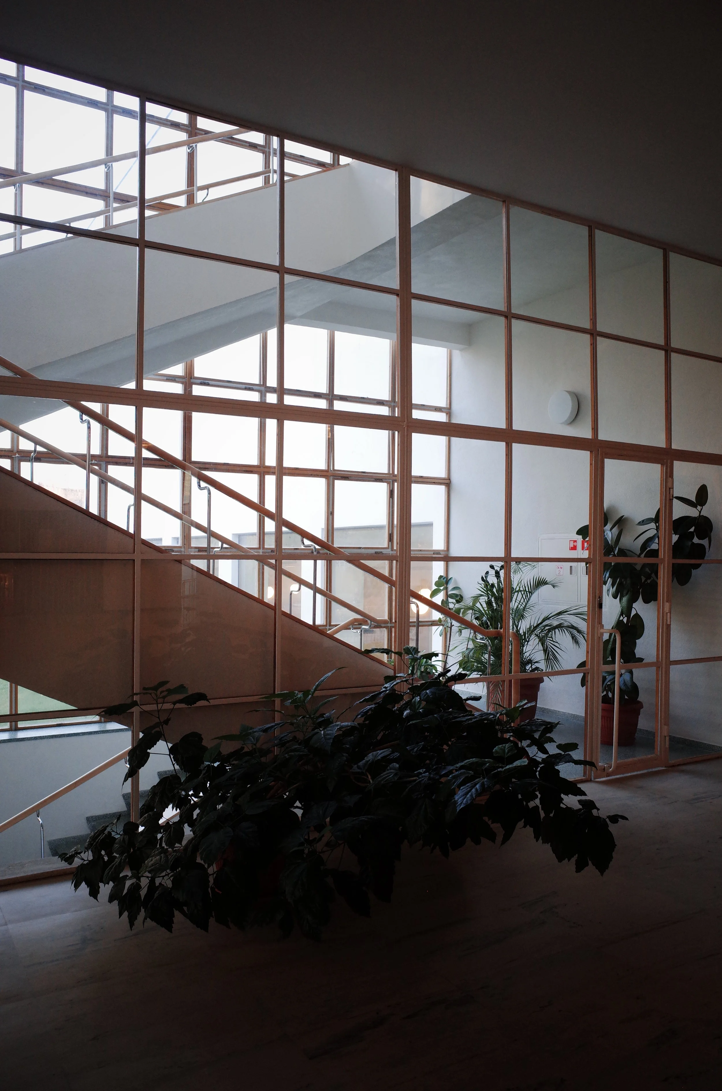 R0013533.JPG