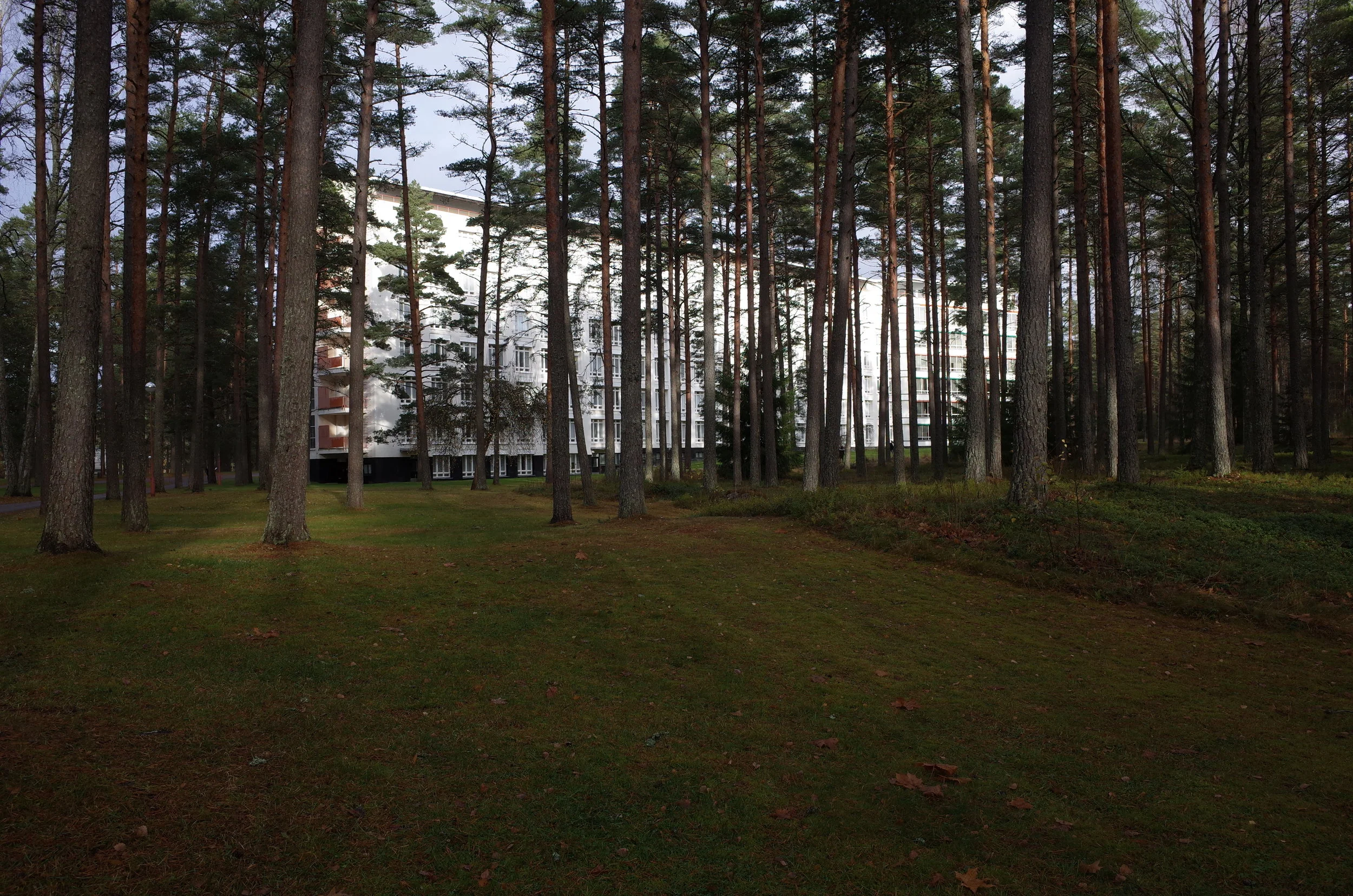 R0014090.JPG