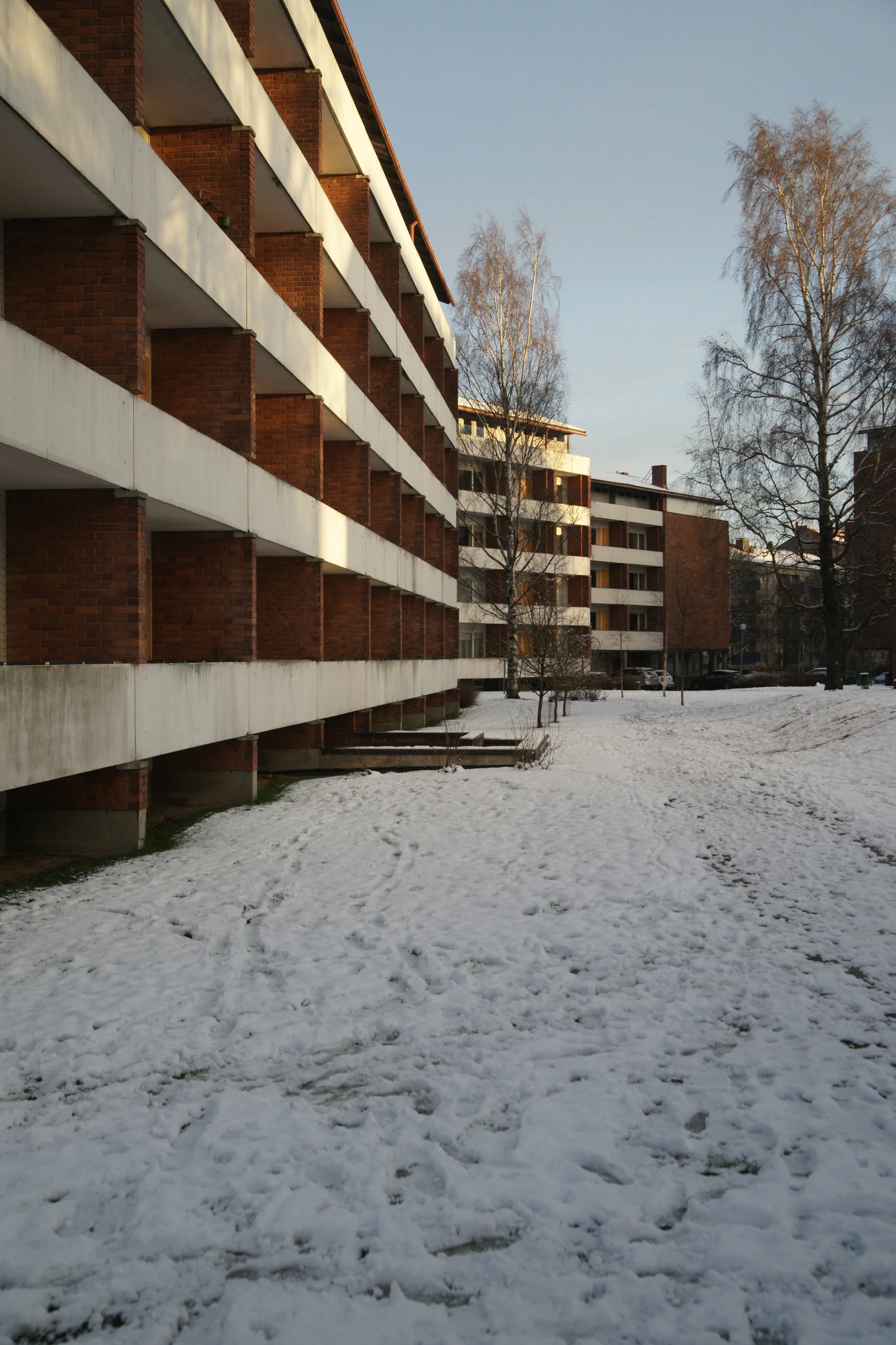 _DSC3849.JPG