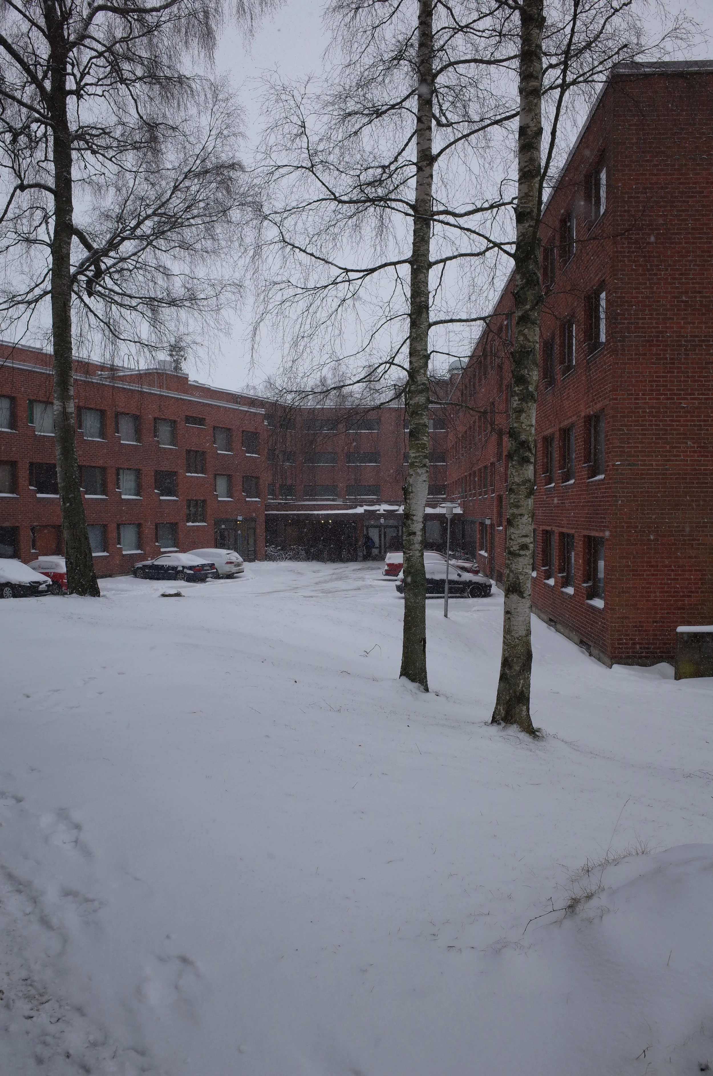 R0016469.JPG