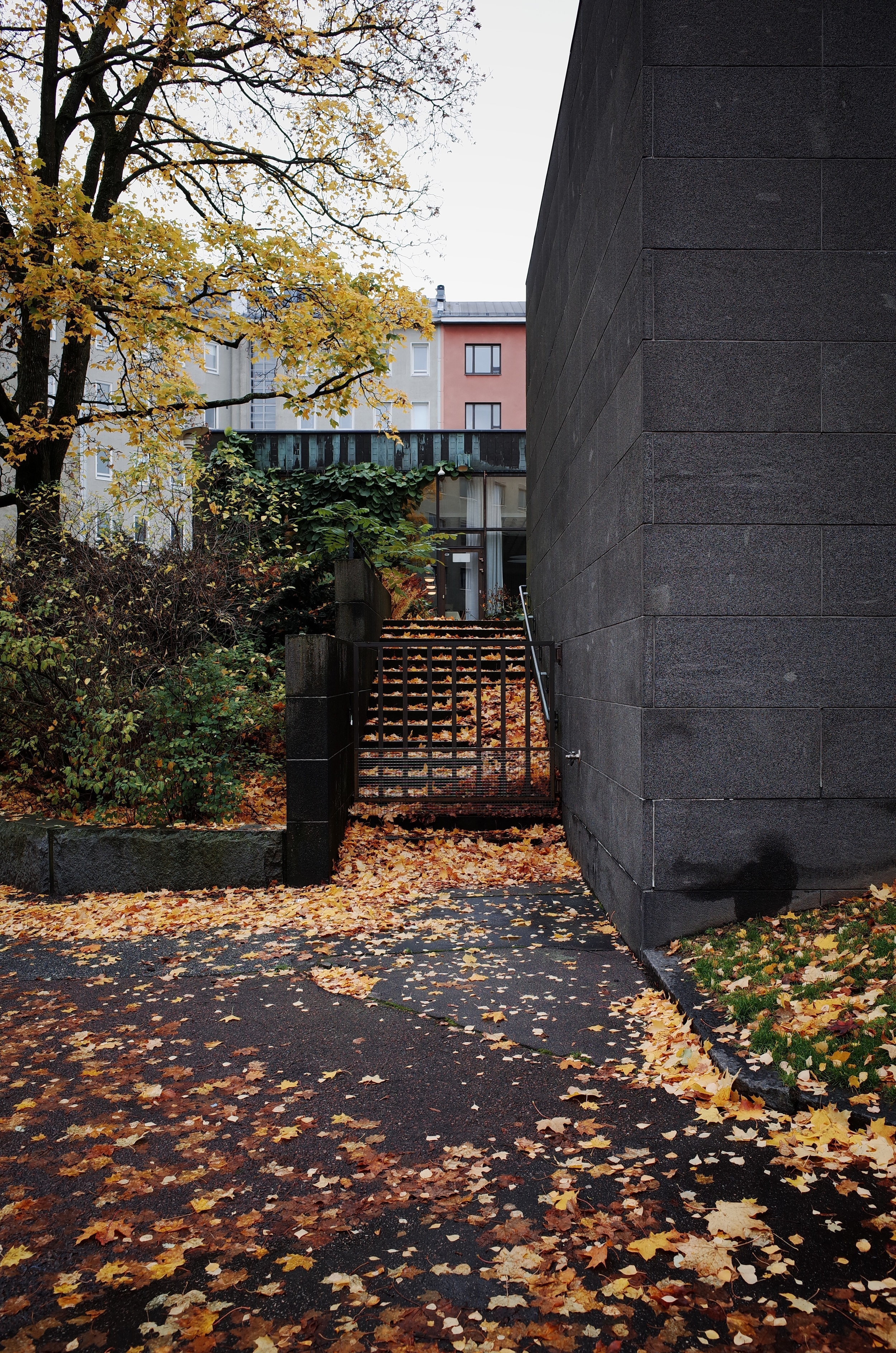 R0013102.JPG