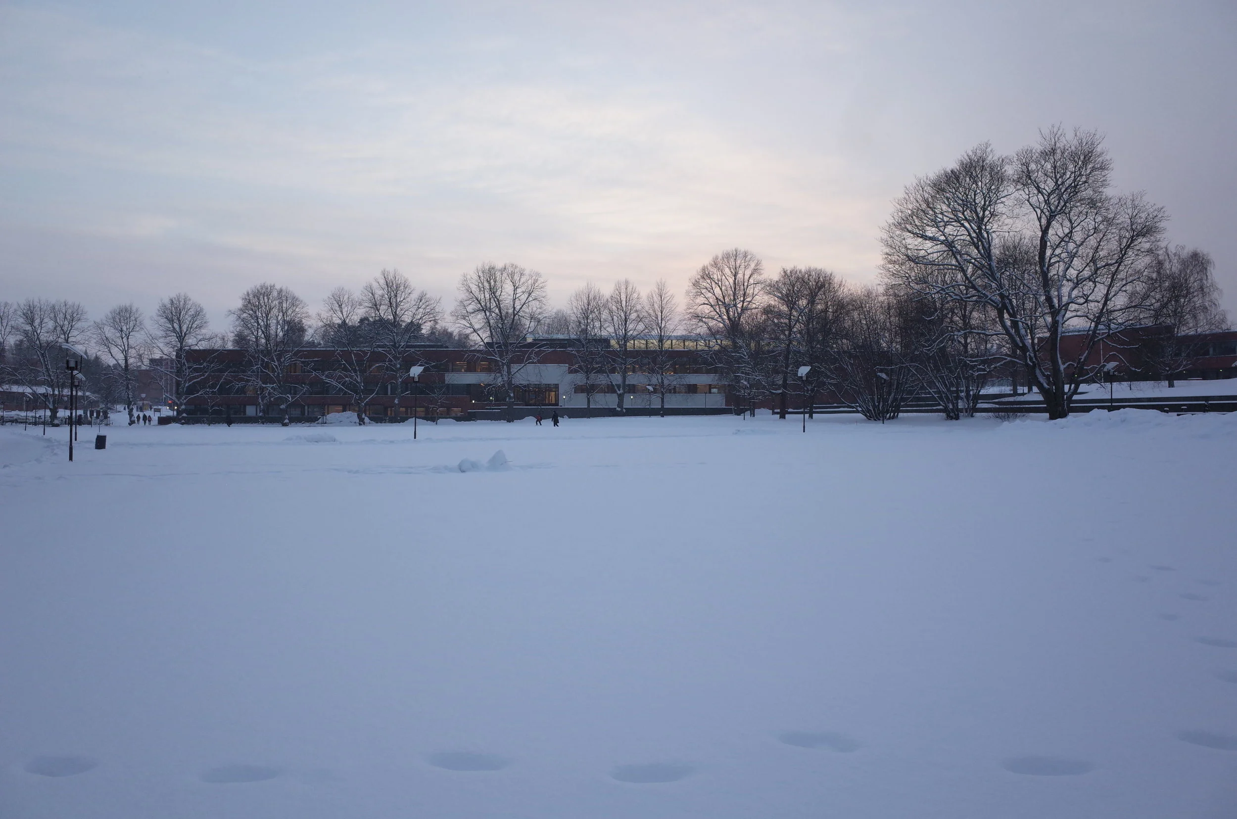 R0016877.JPG