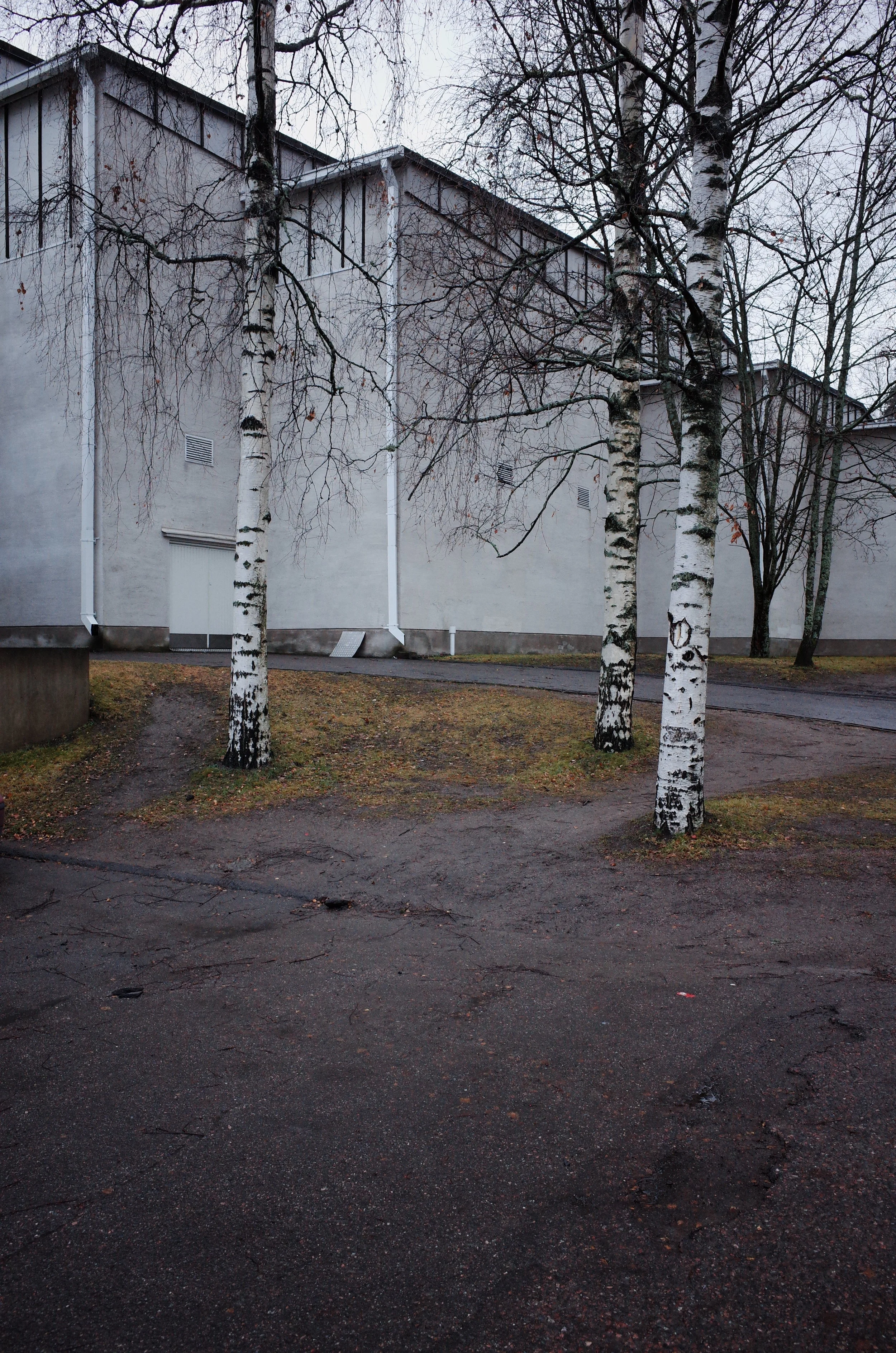 R0015059.JPG