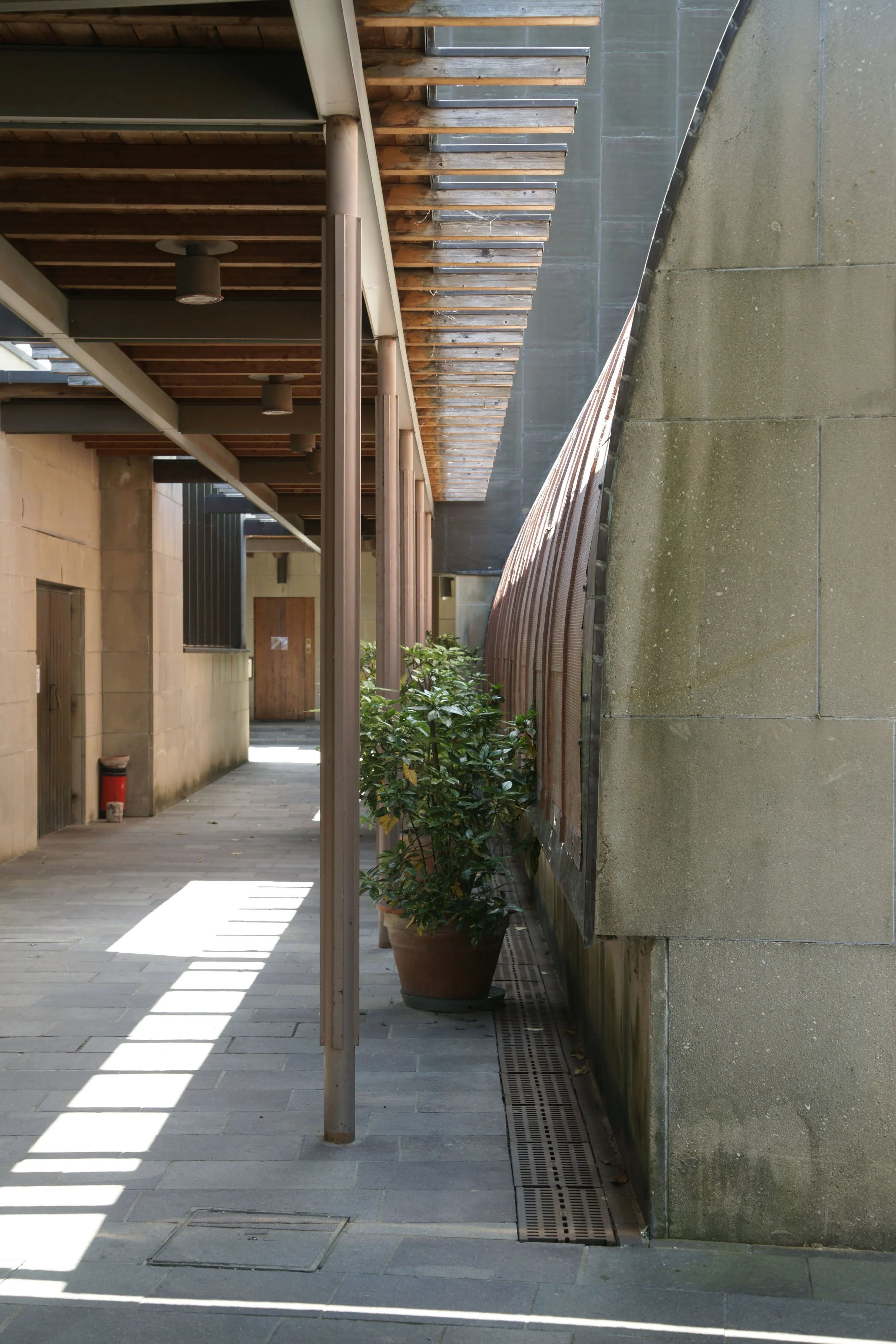 _DSC7682.JPG