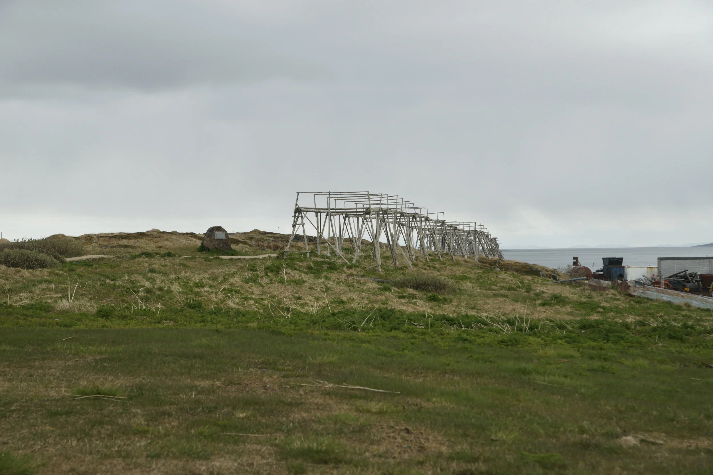 _DSC0087.JPG