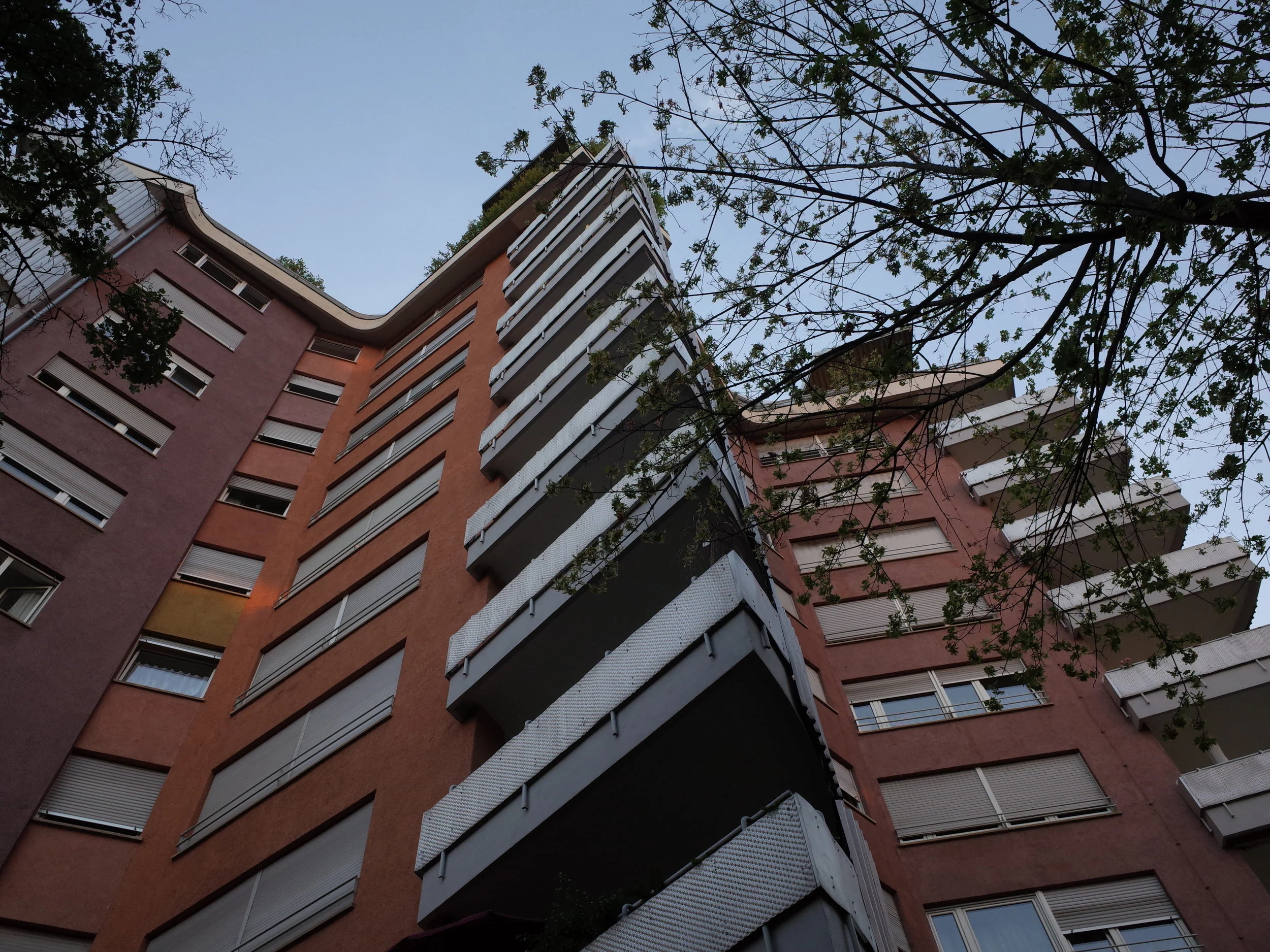R0003518.JPG