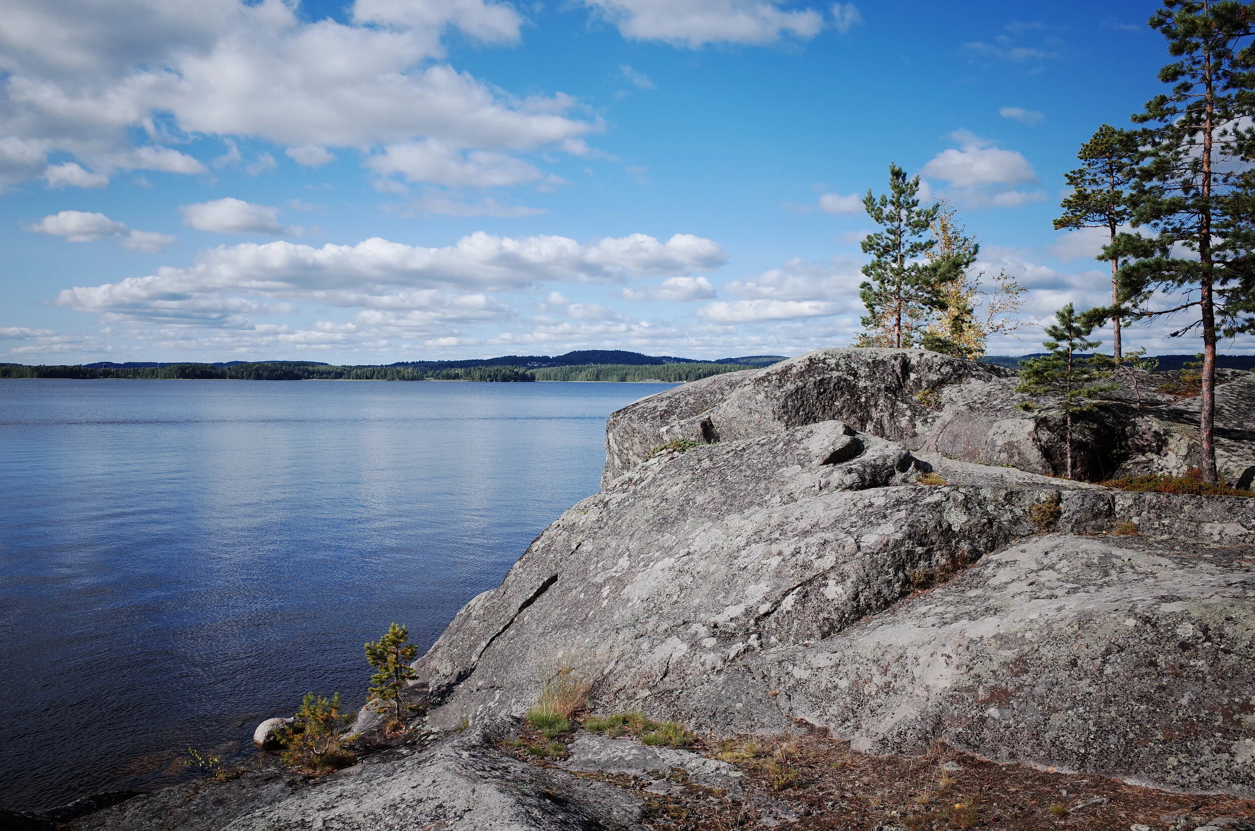 R0011375.JPG