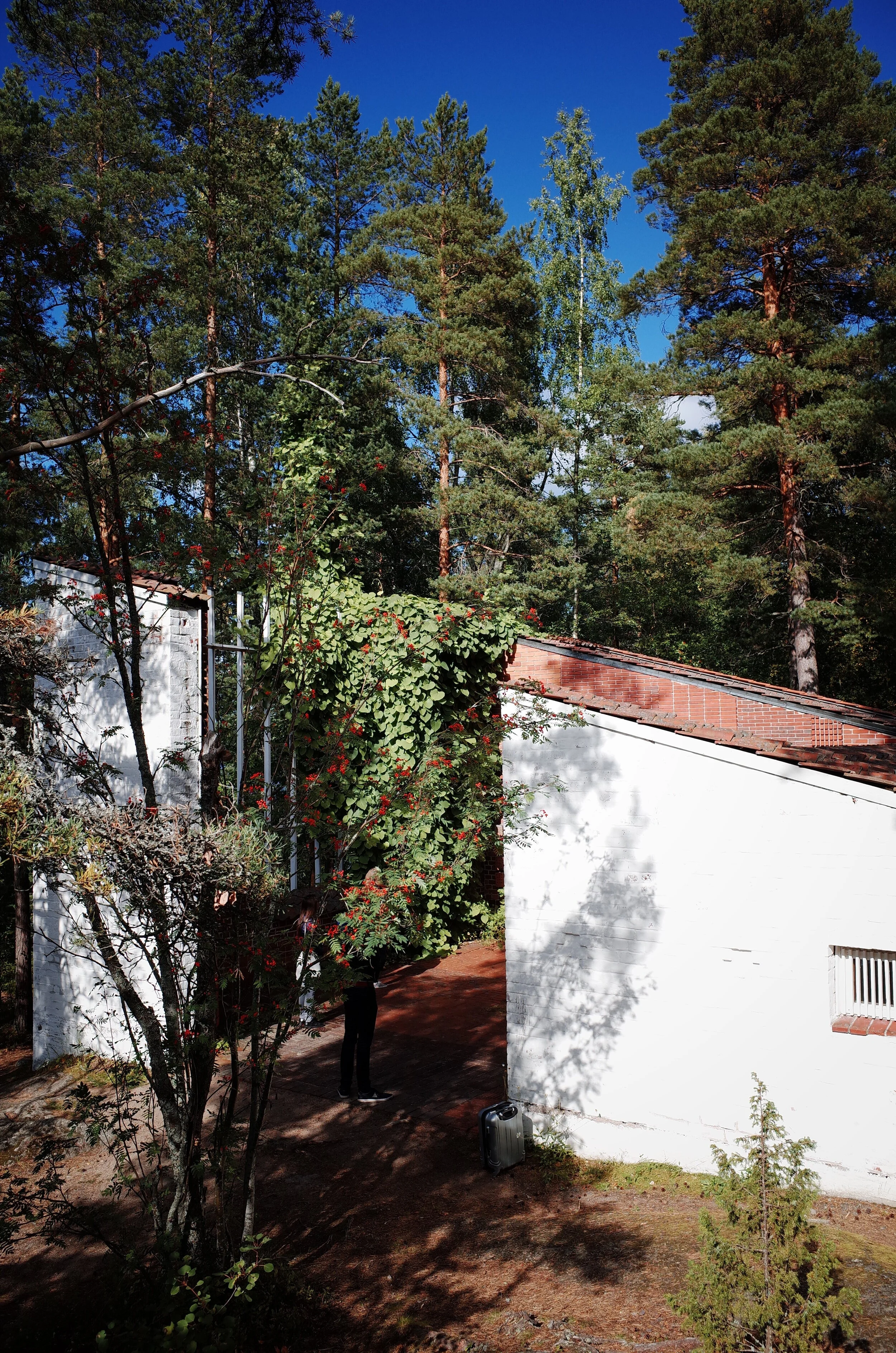 R0011296.JPG