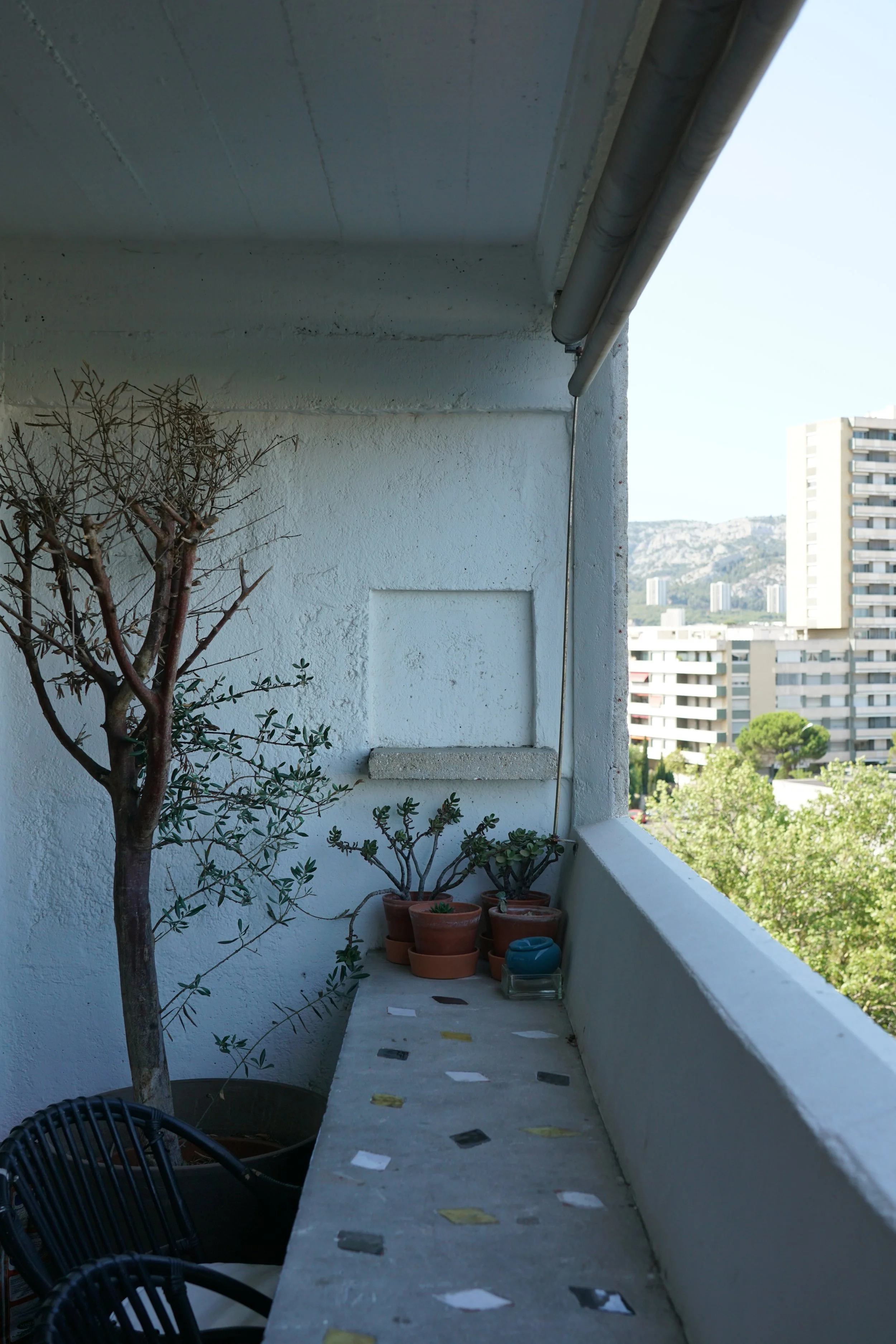 DSC07114a.jpg