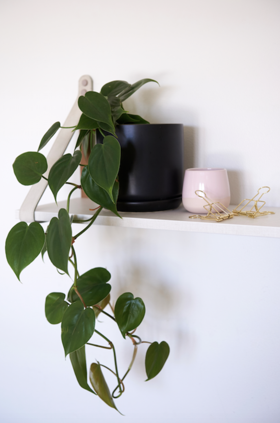 Screen Shot 2020-06-19 at 3.14.26 pm.png