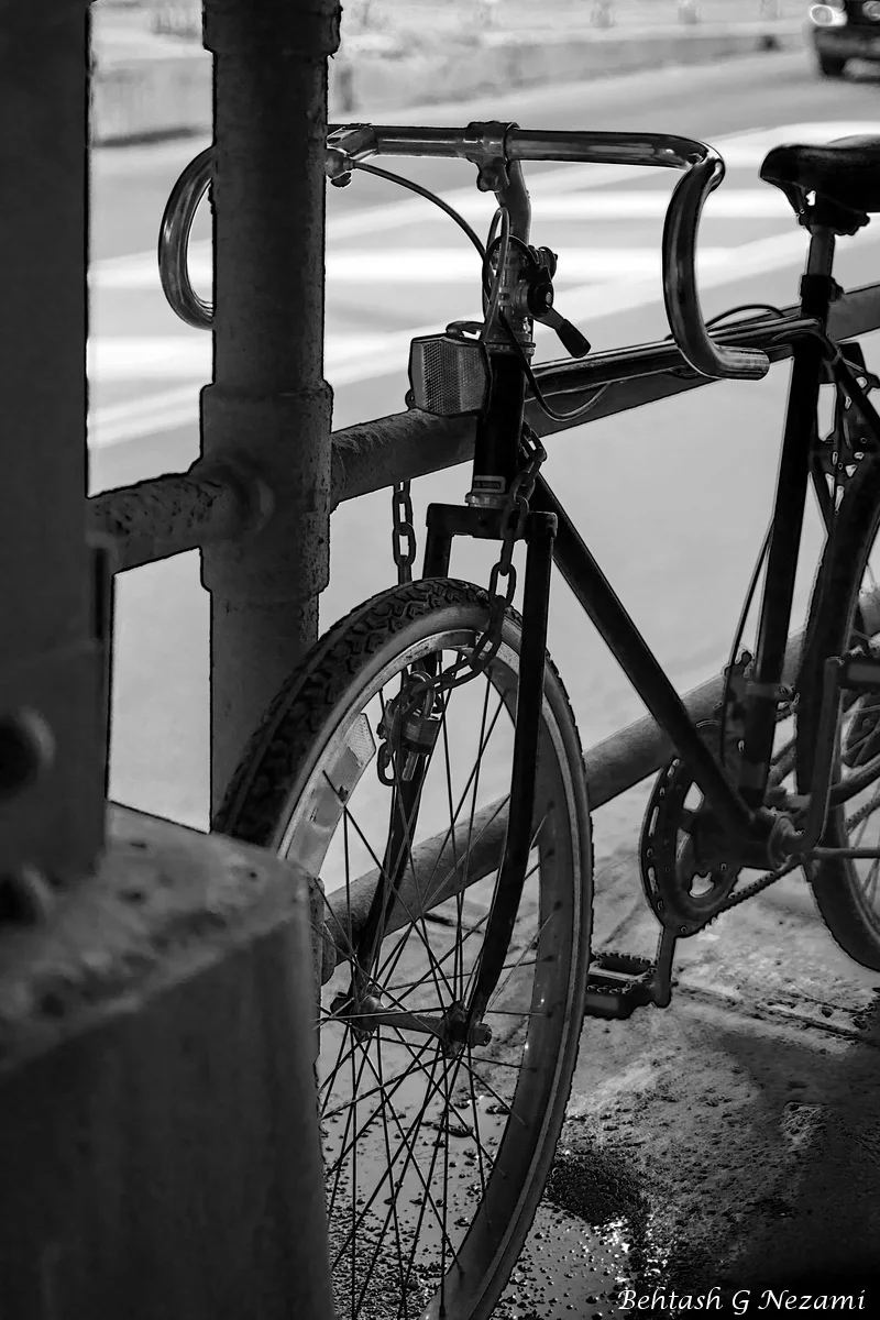 DSC_6812xx_resize-W.JPG