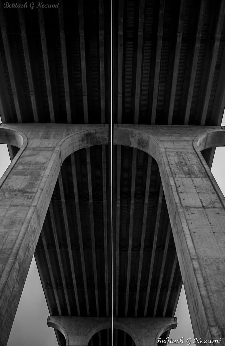 x2DSC_7079_resize-W.JPG