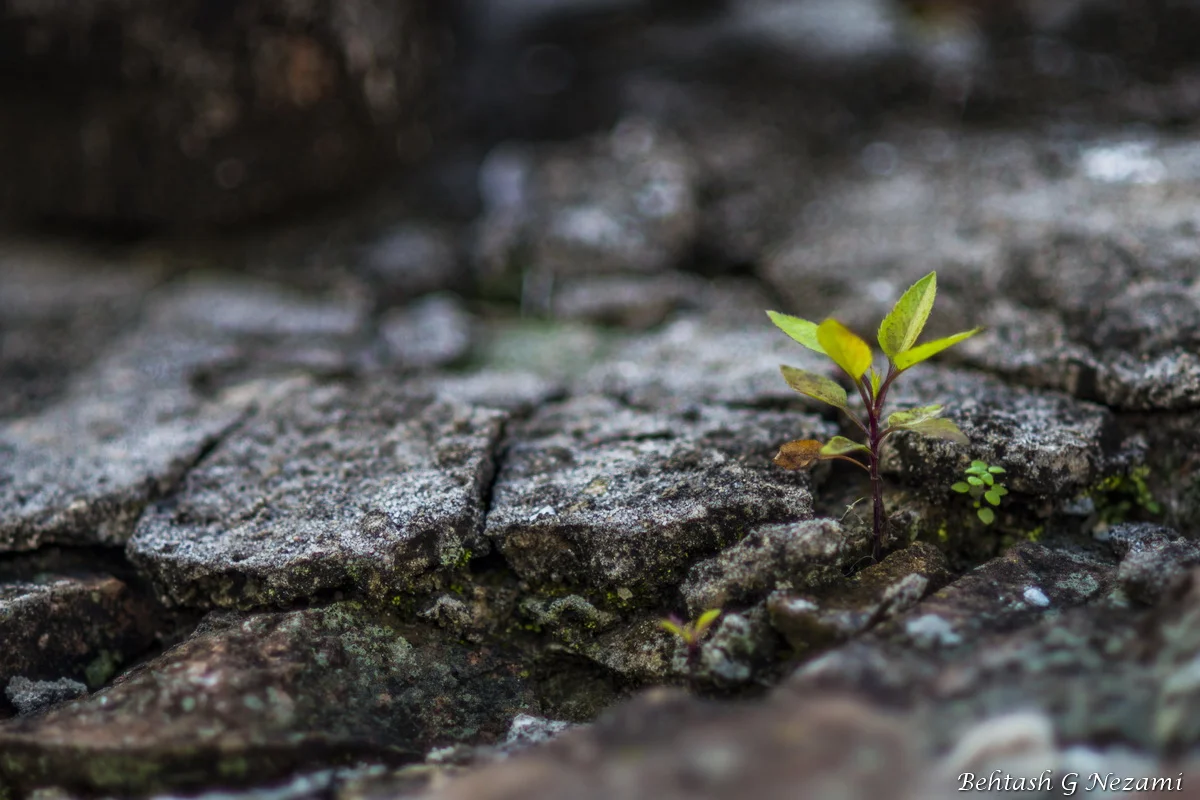 xDSC_9324_resize-W.JPG