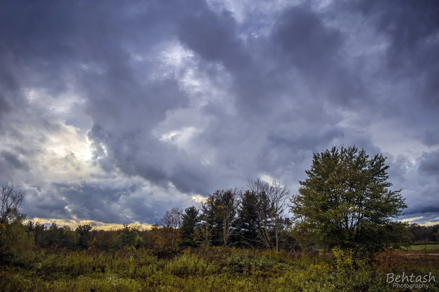 xDSC_9585-W_resize.JPG