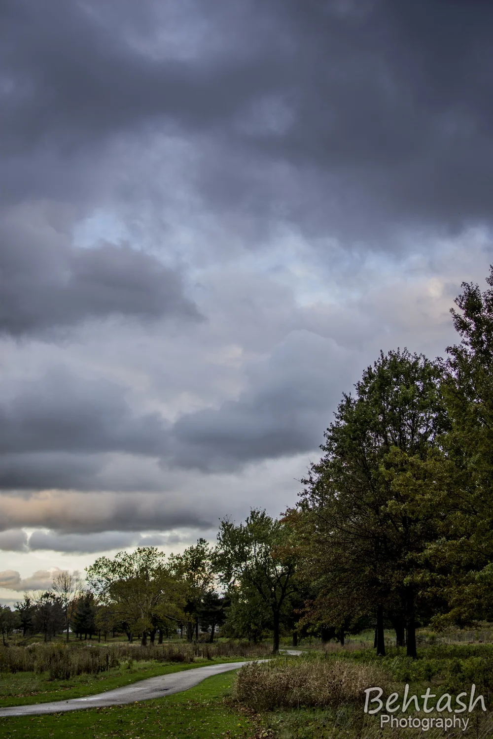 xDSC_9730-W_resize.JPG