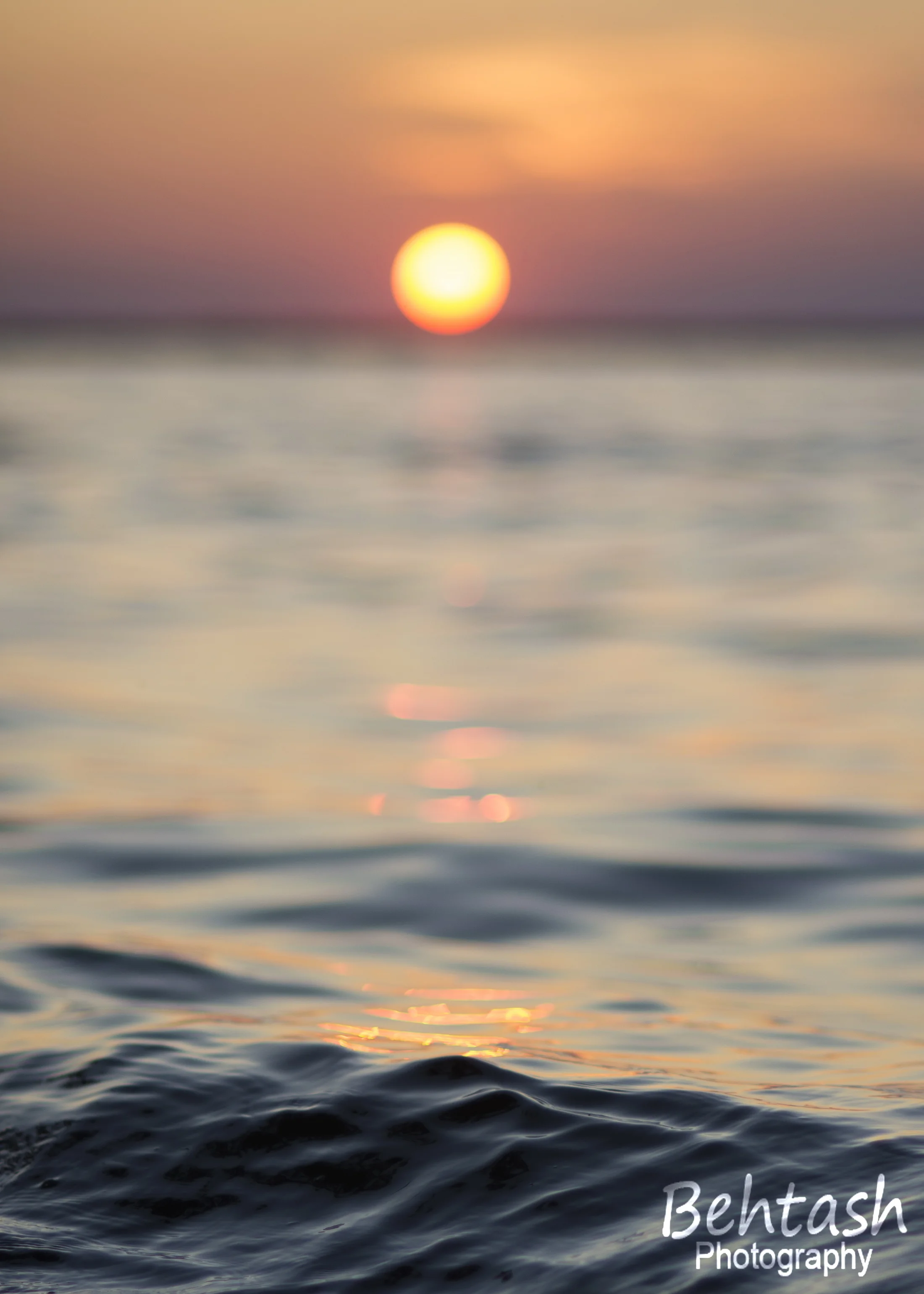 W-xDSC_5711.JPG
