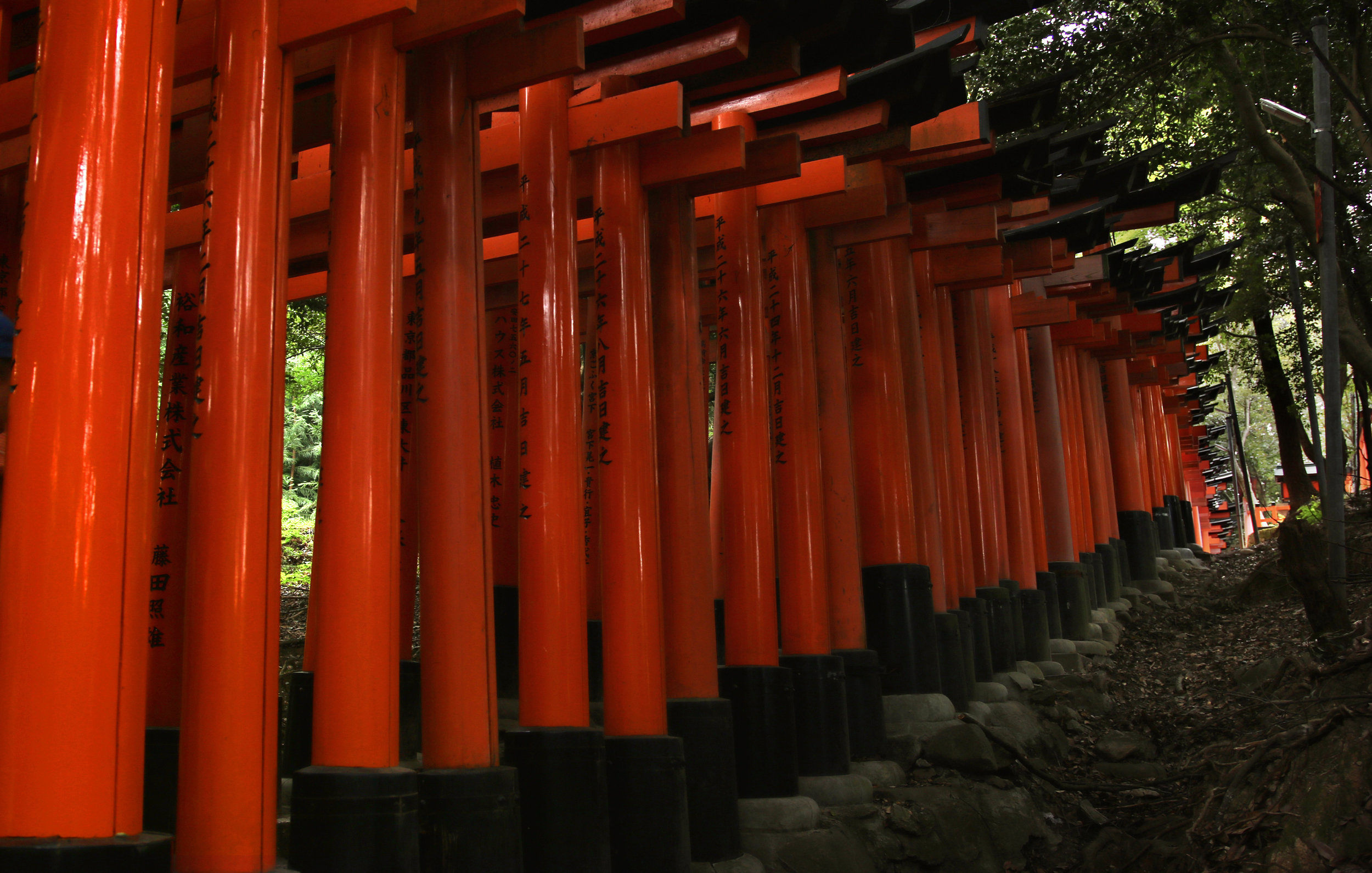 famous torii gates at Fushimi Inari Shrine in Kyoto