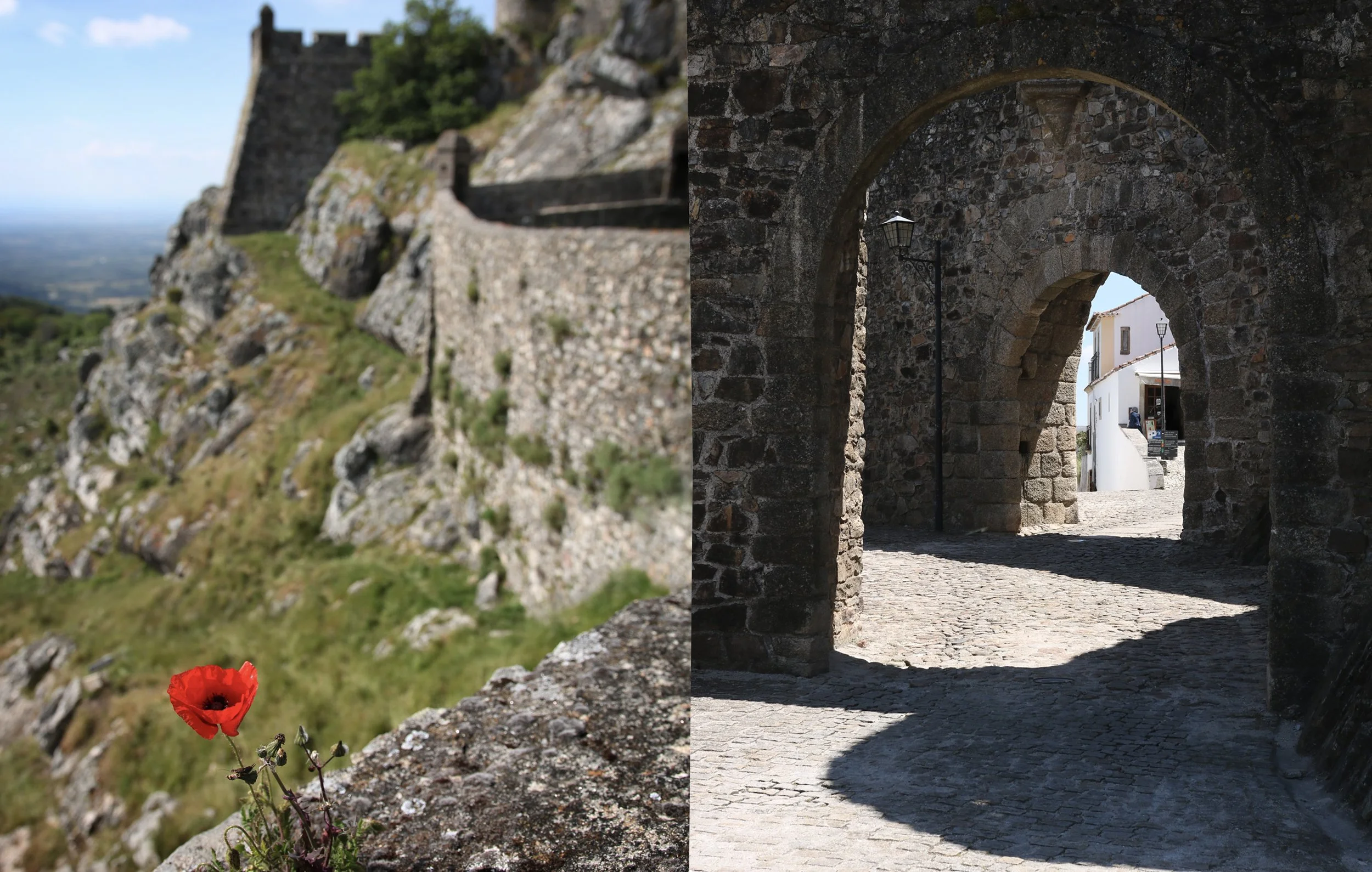 Marvao poppy and entrance.jpg