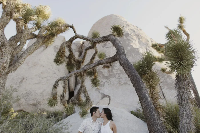 amandavanvels_joshuatree_05
