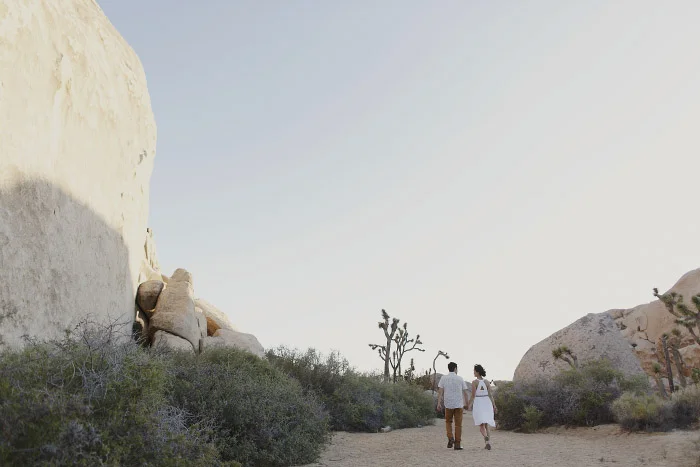 amandavanvels_joshuatree_06