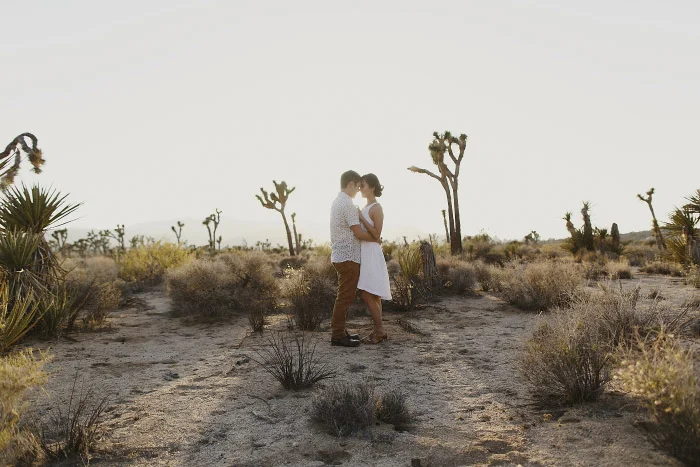 amandavanvels_joshuatree_12