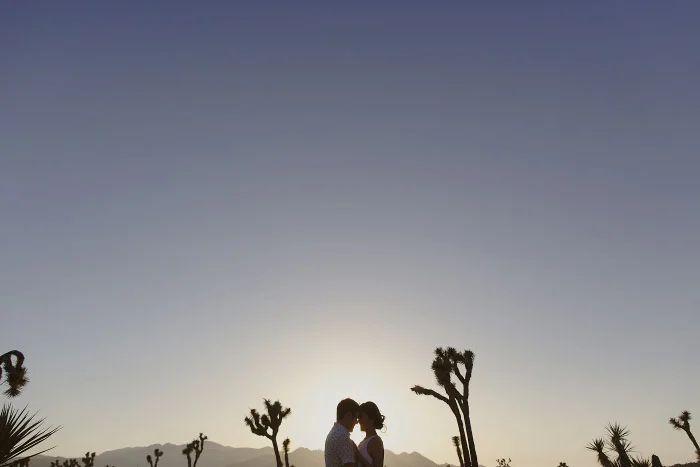 amandavanvels_joshuatree_13