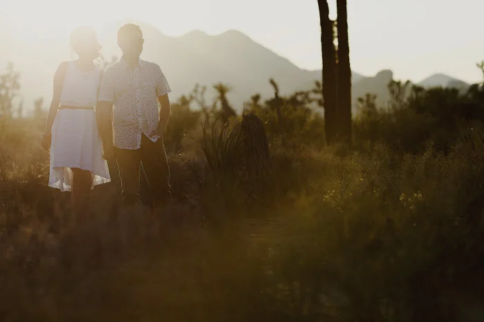 amandavanvels_joshuatree_19