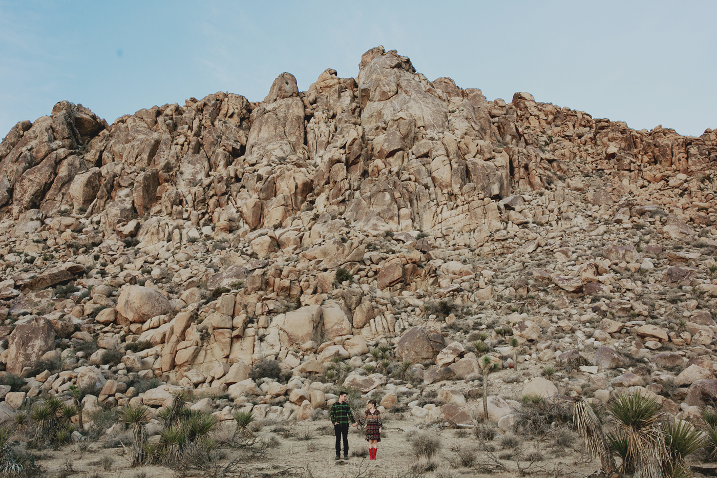 joshua_tree_engagement_019