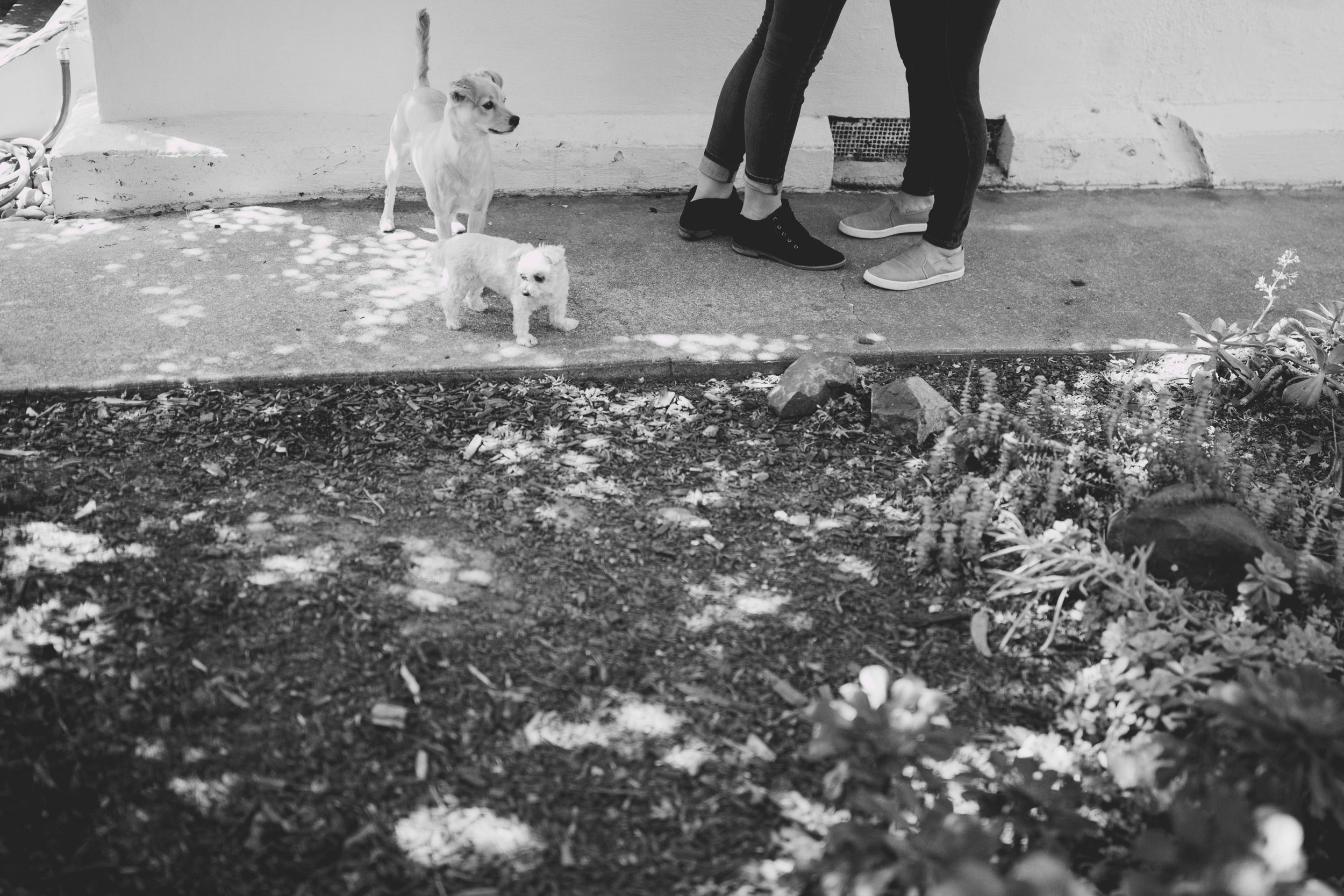 amanda_vanvels_kate_dede_outer_sunset_engagement__0036.jpg