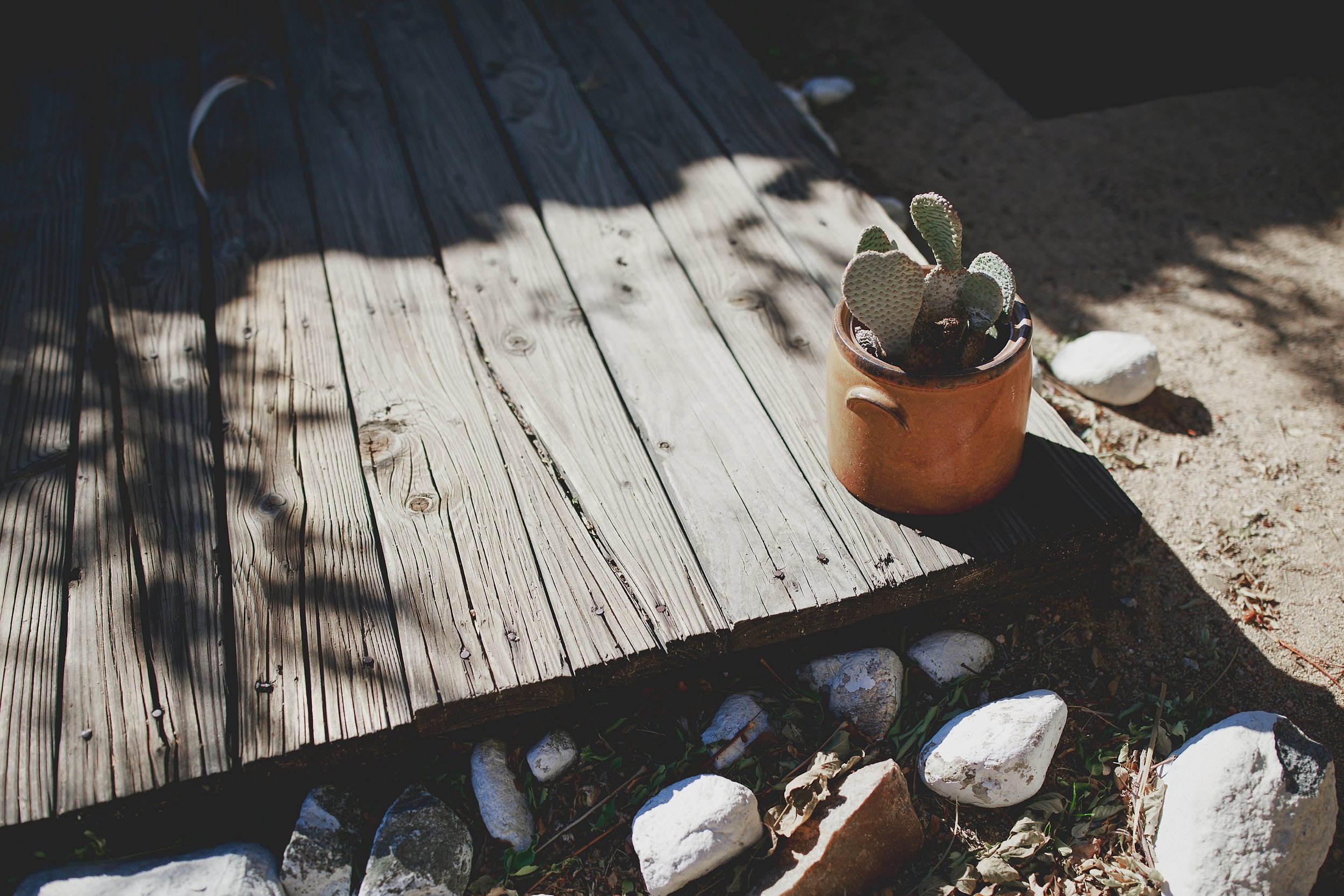 amanda_vanvels_joshua_tree_inn_wedding_003.jpg